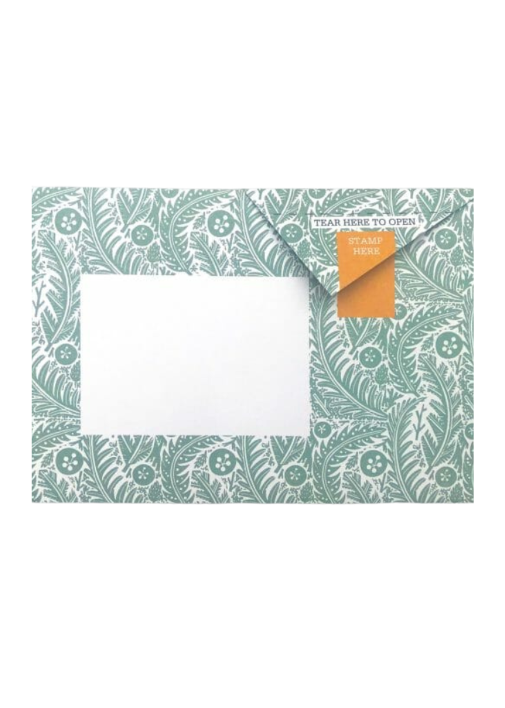 Pigeon Pigeonposted  - Nature Study Pigeons Letter & Envelope in One