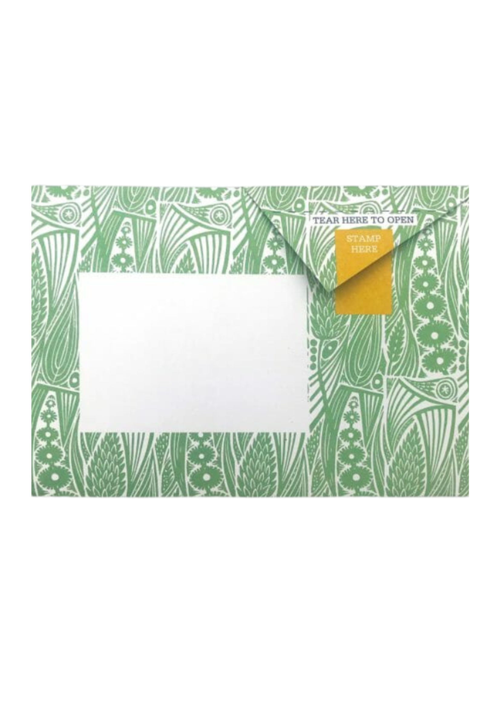 Pigeon Pigeonposted  - Nature Study Pigeons Letter & Envelope in One
