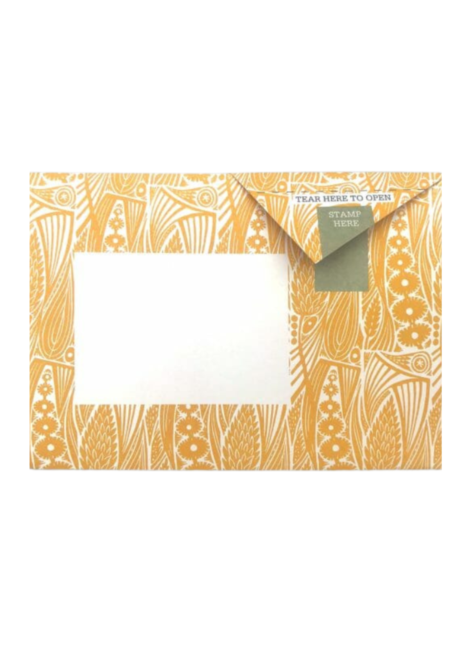 Pigeon Pigeonposted  - Nature Study Pigeons Letter & Envelope in One