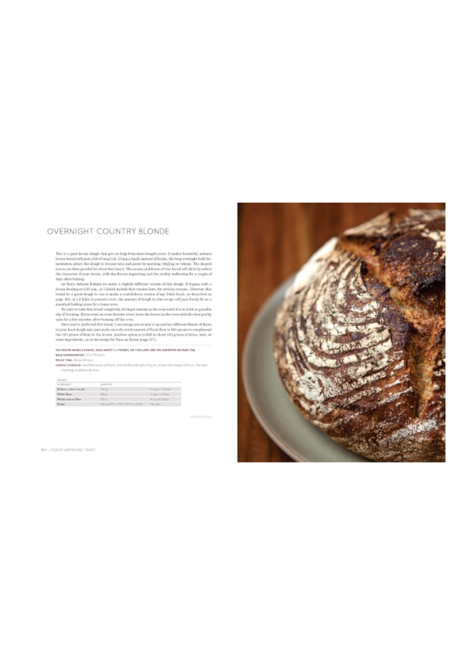 Random House Random House Flour Water Salt Yeast: The Fundamentals of Artisan Bread and Pizza by Ken Forkish