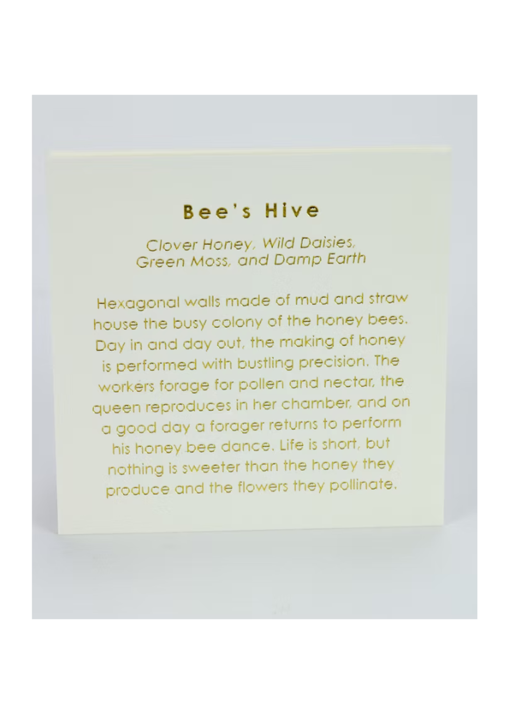Austin Press Austin Press Bee's Hive Candle