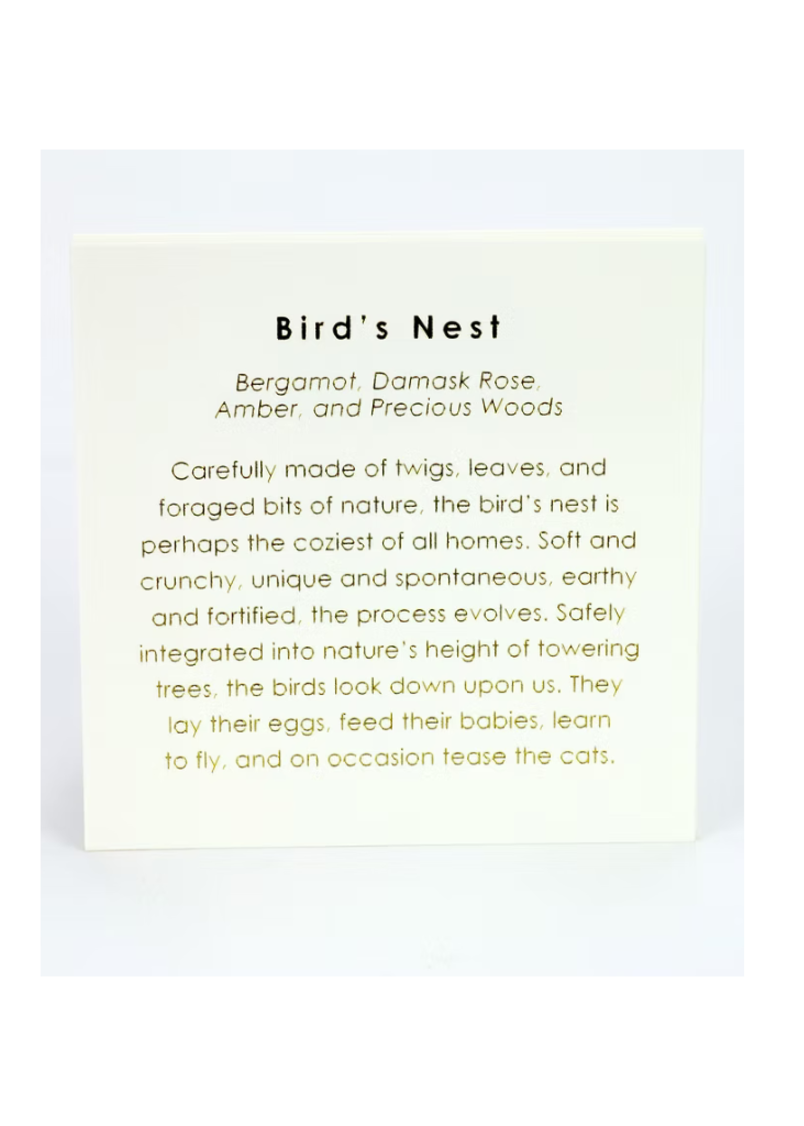 Austin Press Austin Press Bird's Nest Candle