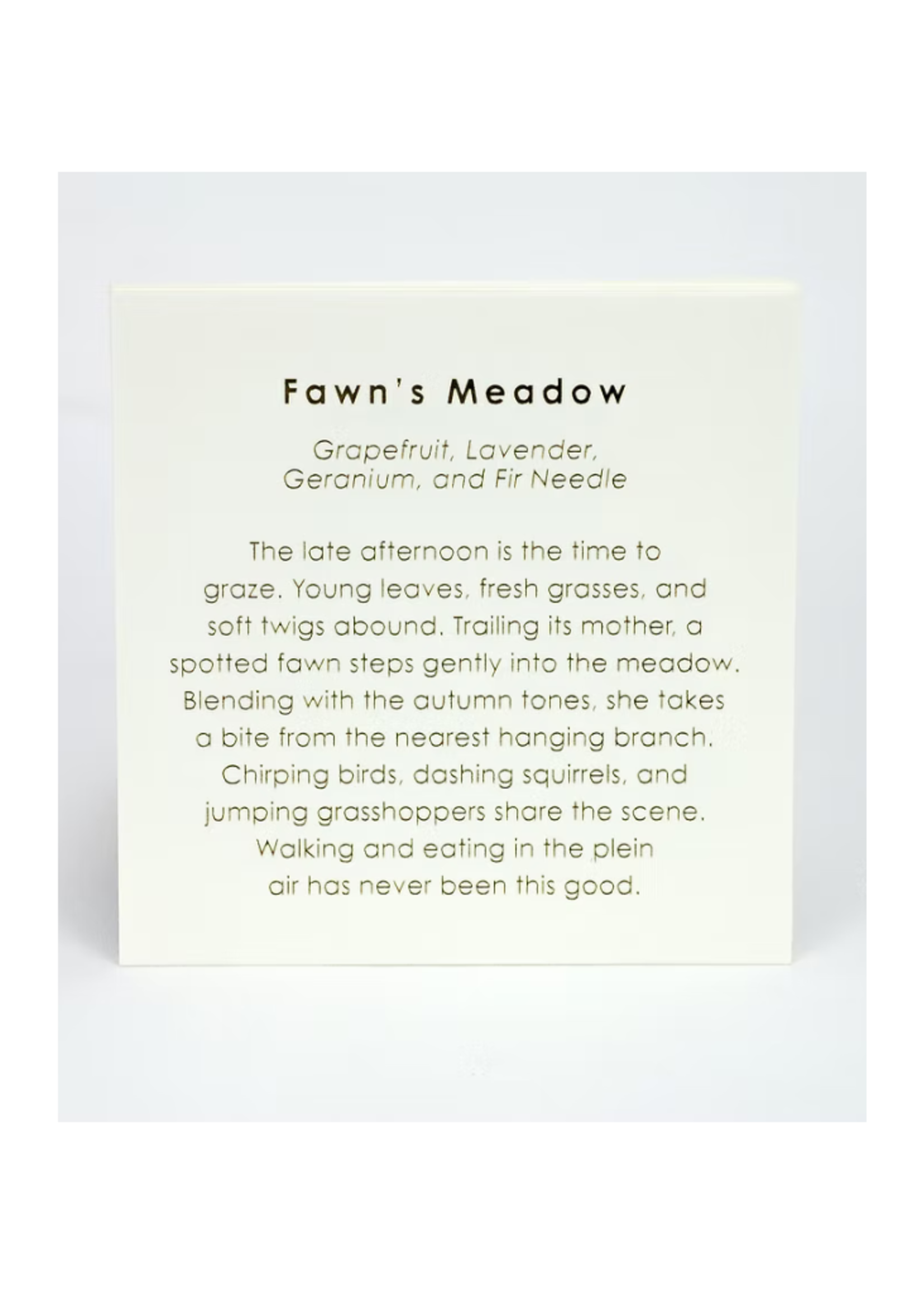Austin Press Austin Press Fawn's Meadow Candle