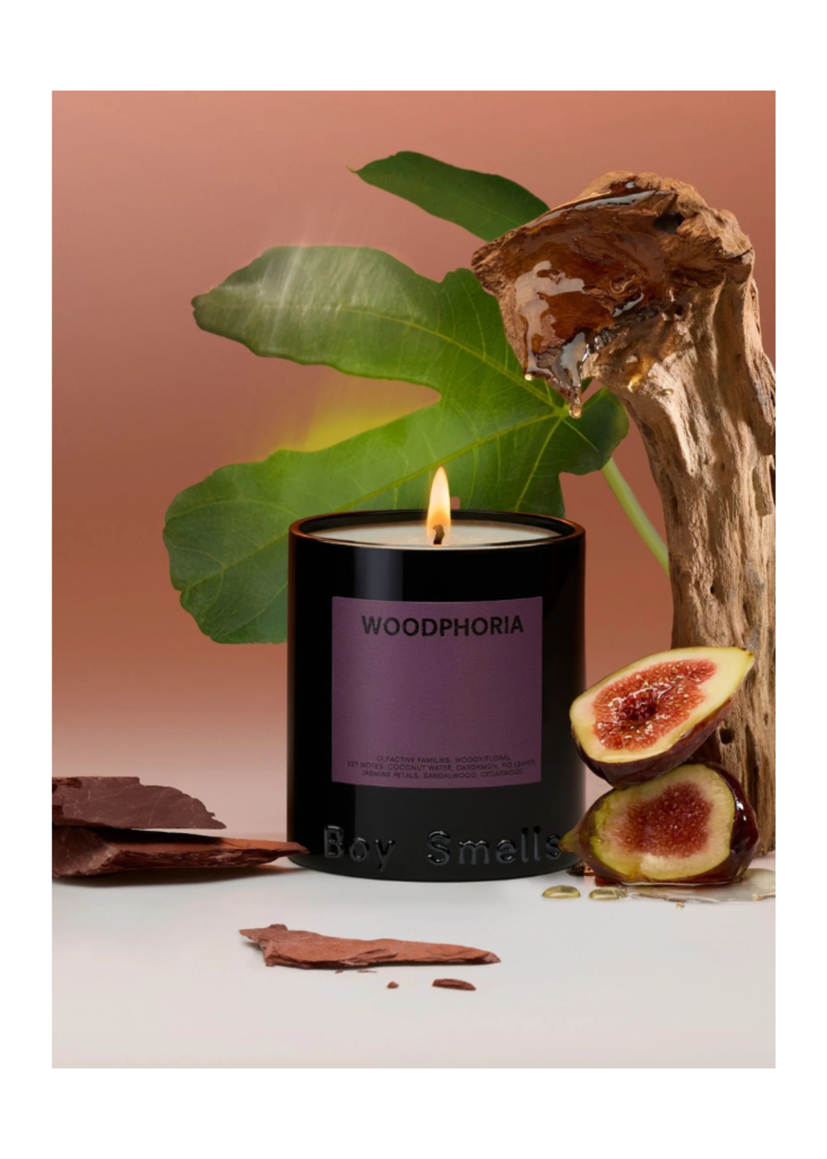 Boy Smells Boy Smells - Woodphoria Hero Standard Candle 8.5oz