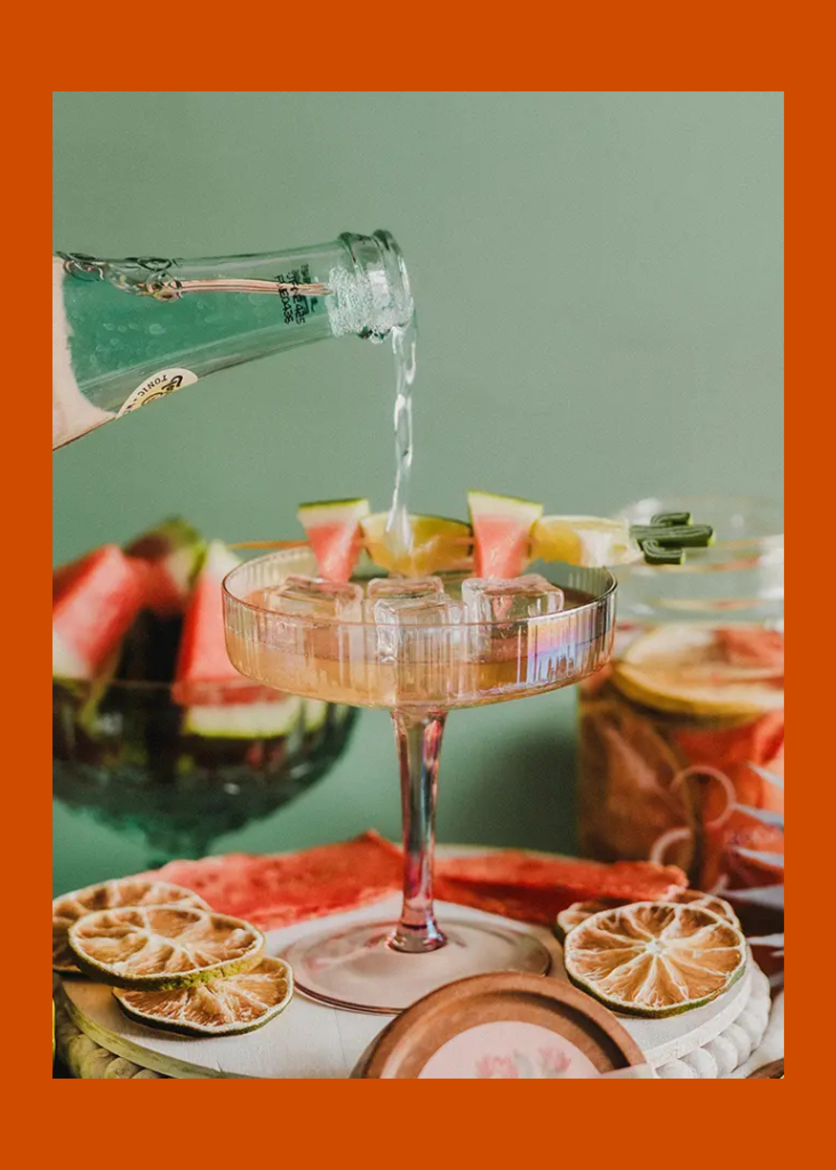 Infuse & Booze Infuse & Booze -  Cactus Cooler Infusion Kit