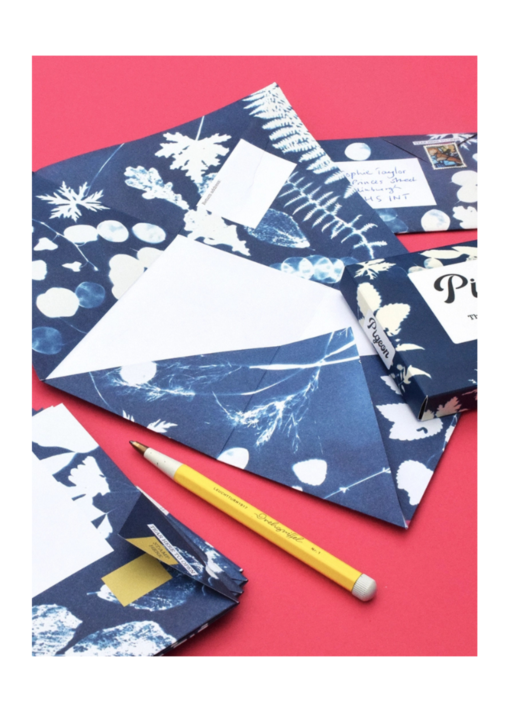 Pigeon Pigeon - Apothecary Pigeon Letter & Envelope in One