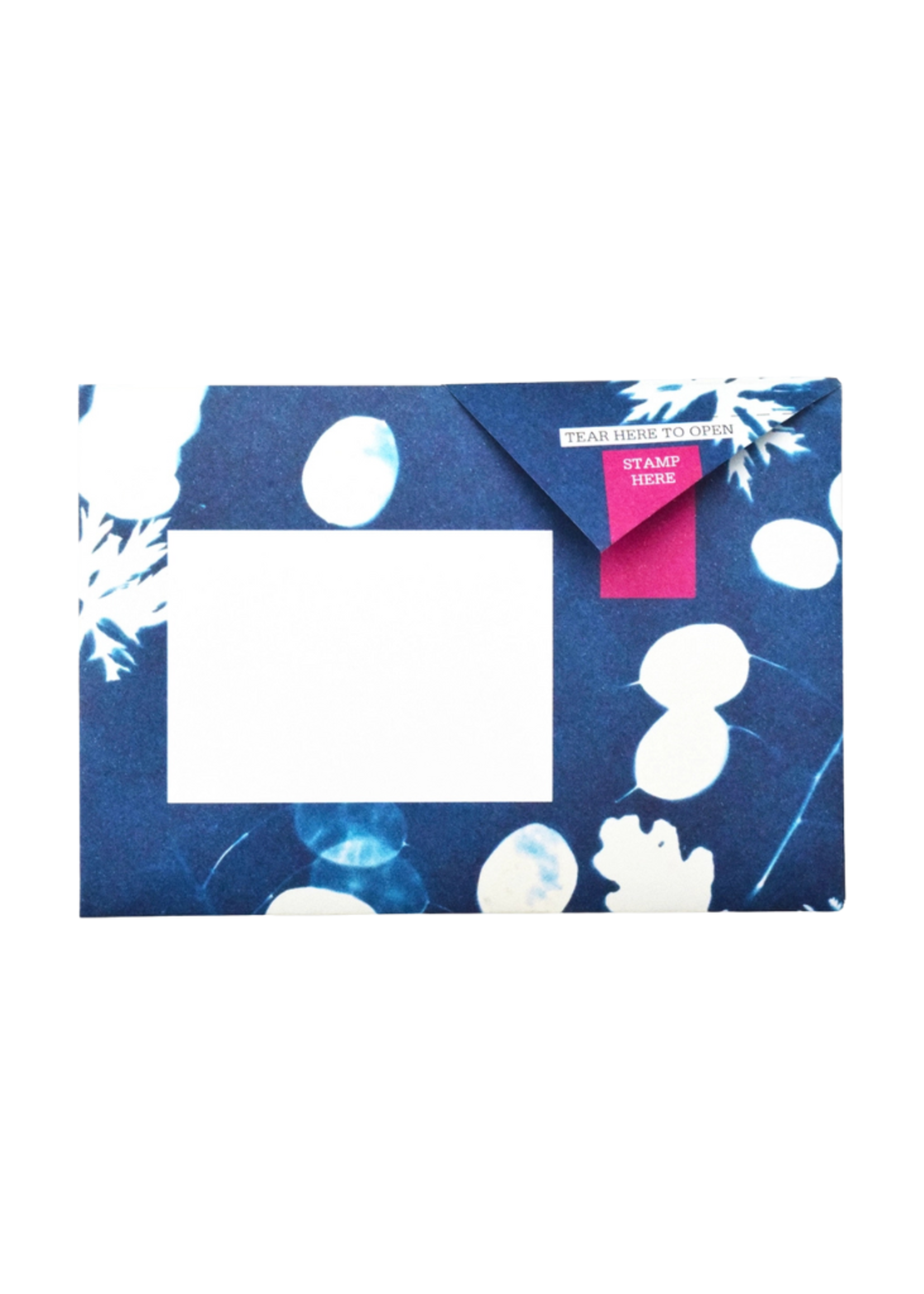 Pigeon Pigeon - Apothecary Pigeon Letter & Envelope in One