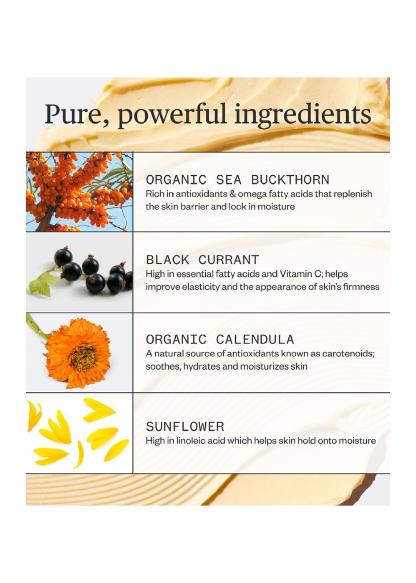 Ursa Major Ursa Major - Golden Hour Recovery Cream