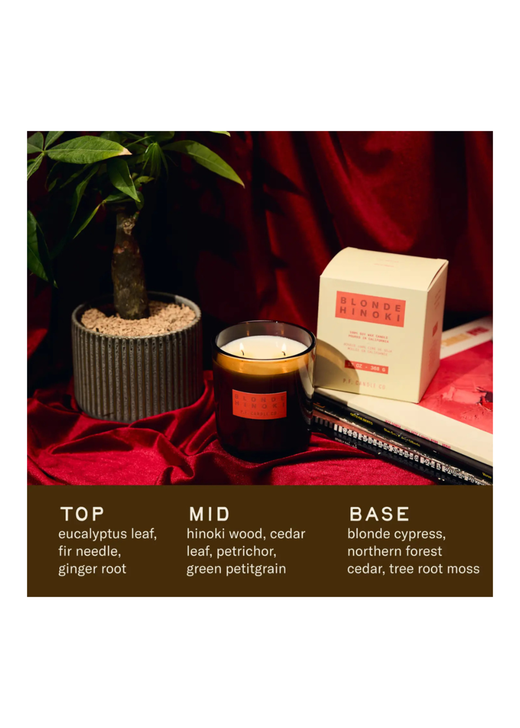 PF Candle Co. P.F. Candle Co. - Blonde Hinoki– Hi-Fi Candle