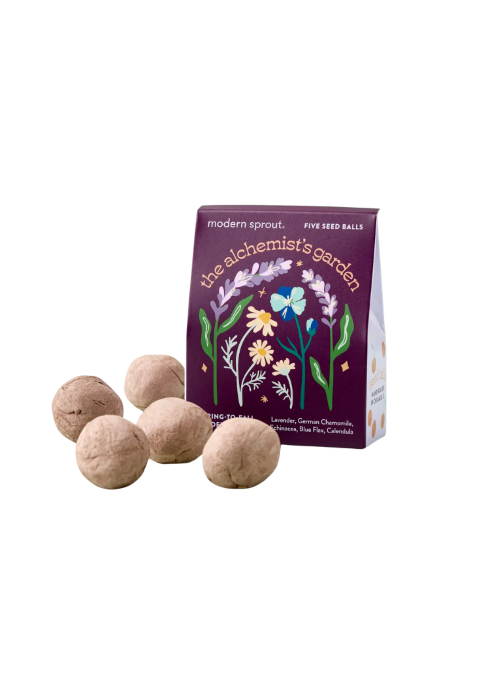 Modern Sprout Modern Sprout -  Bespoke Blooms l The Alchemist's Garden