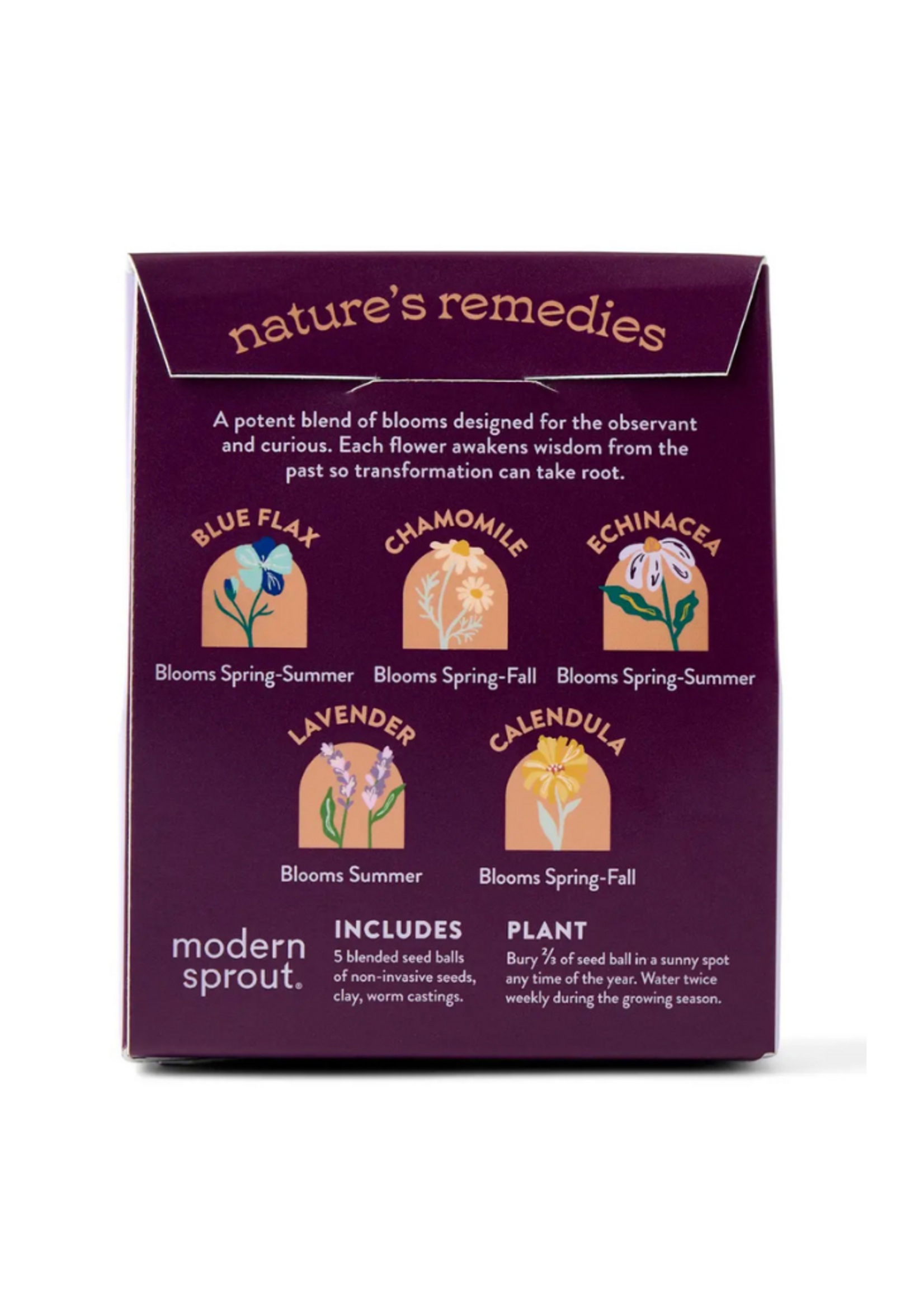 Modern Sprout Modern Sprout -  Bespoke Blooms l The Alchemist's Garden