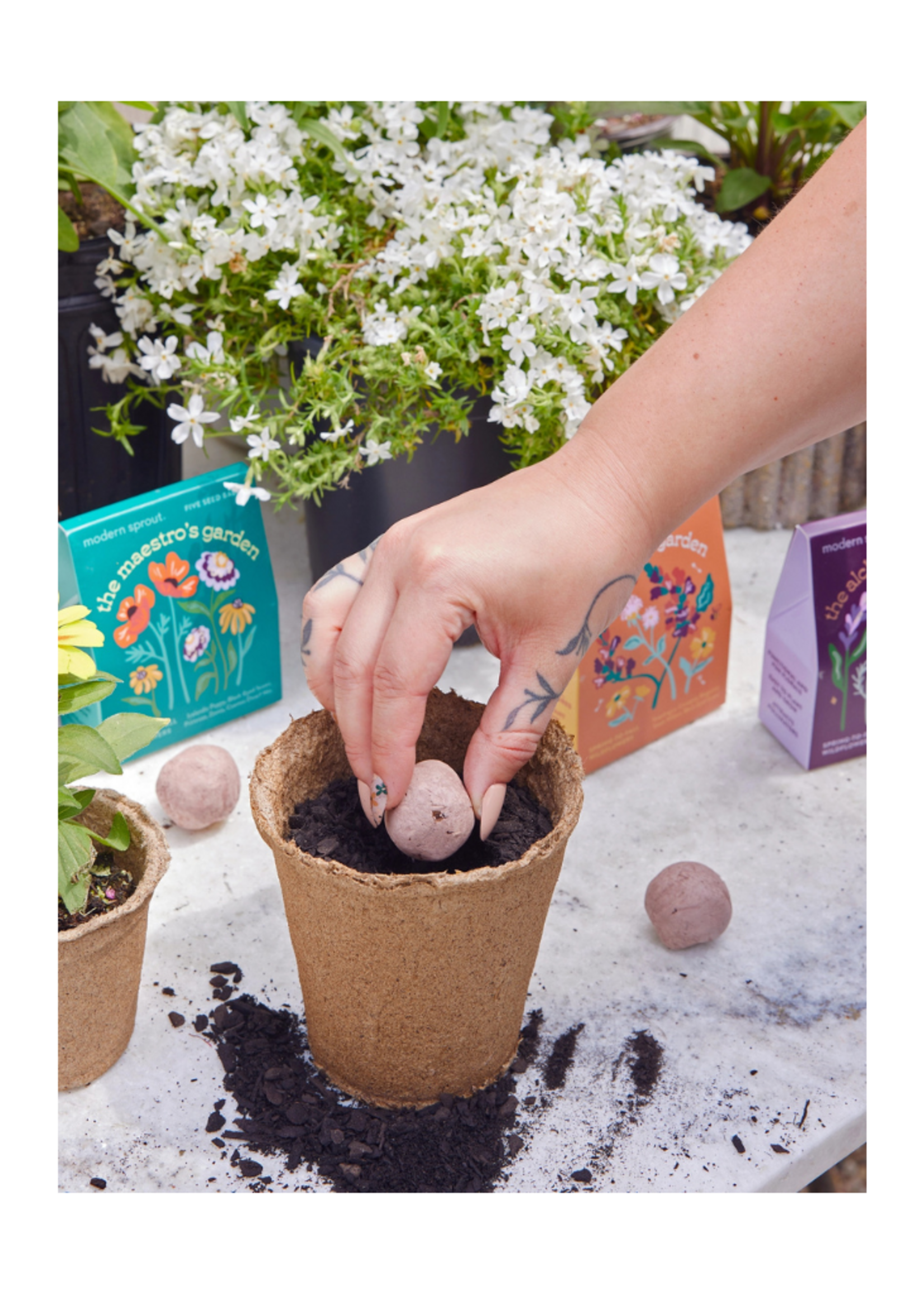 Modern Sprout Modern Sprout -  Bespoke Blooms l The Alchemist's Garden