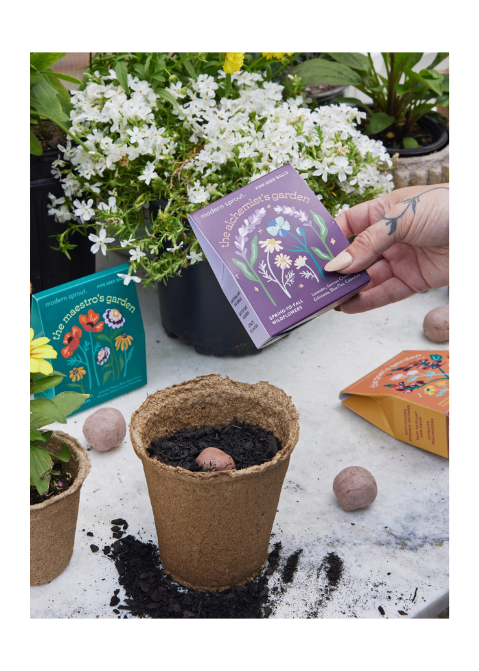 Modern Sprout Modern Sprout -  Bespoke Blooms l The Alchemist's Garden