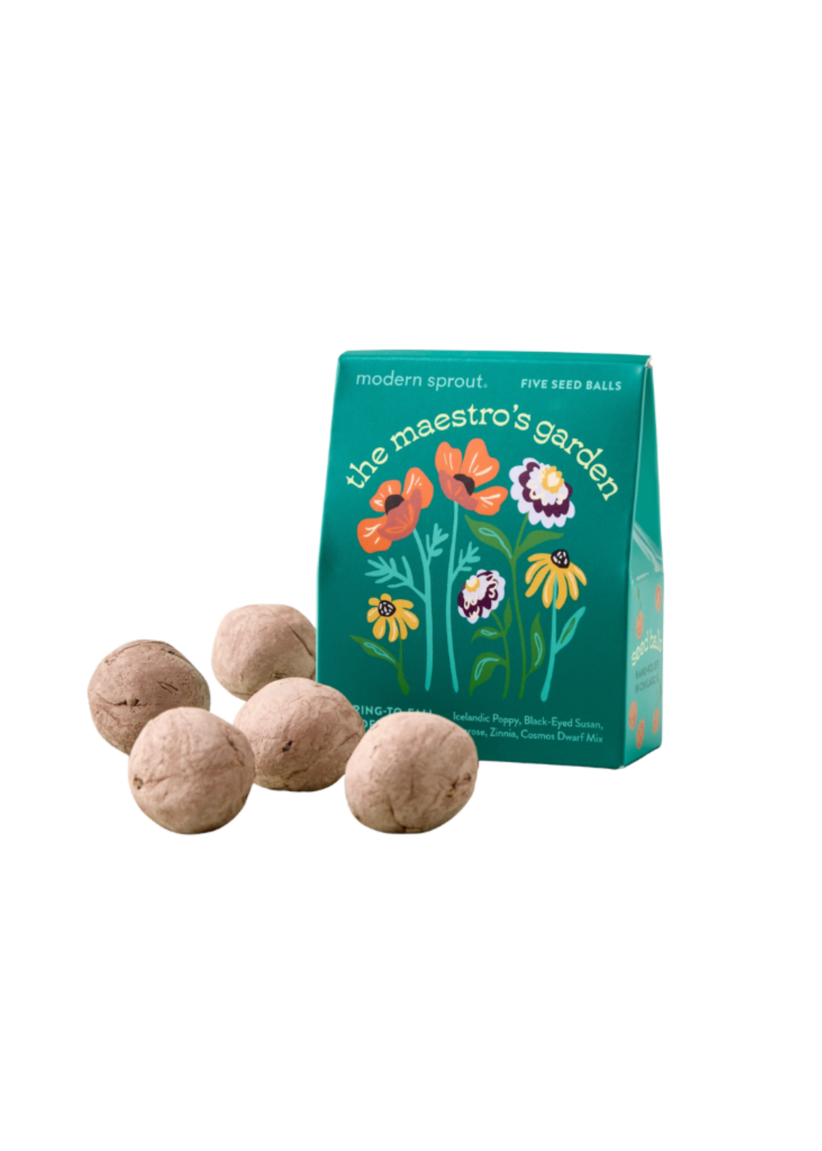 Modern Sprout Modern Sprout -  Bespoke Blooms l The Maestro's Garden