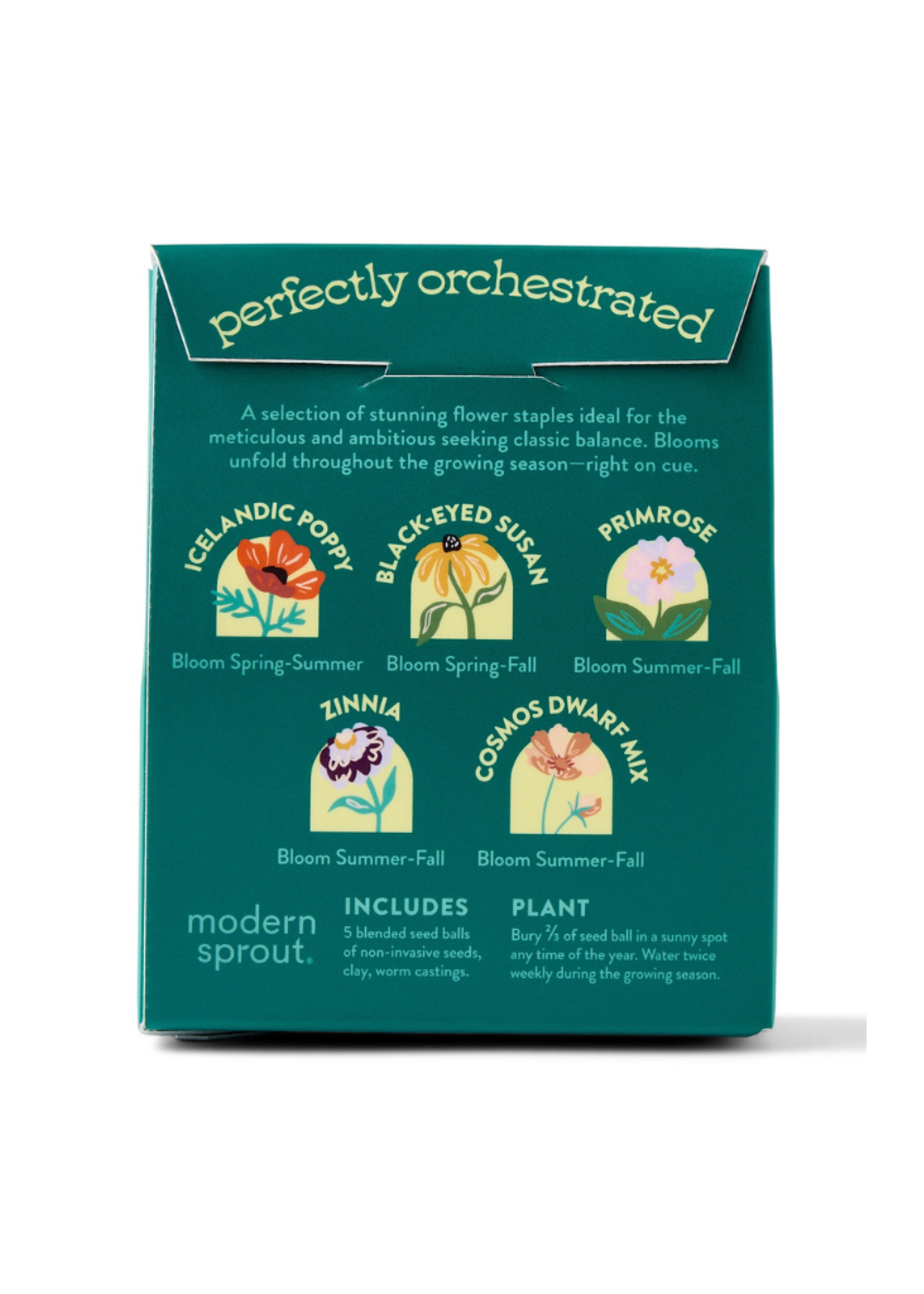 Modern Sprout Modern Sprout -  Bespoke Blooms l The Maestro's Garden