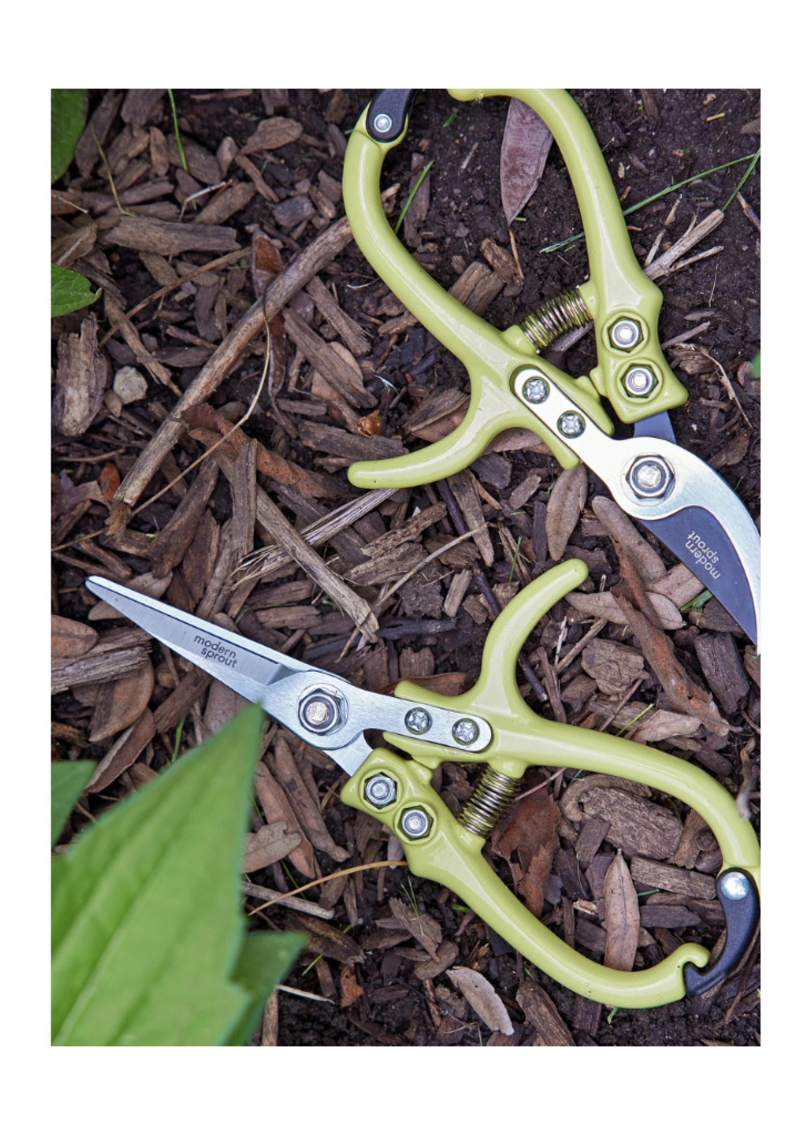 Modern Sprout Modern Sprout - Garden Shears l Chartreuse