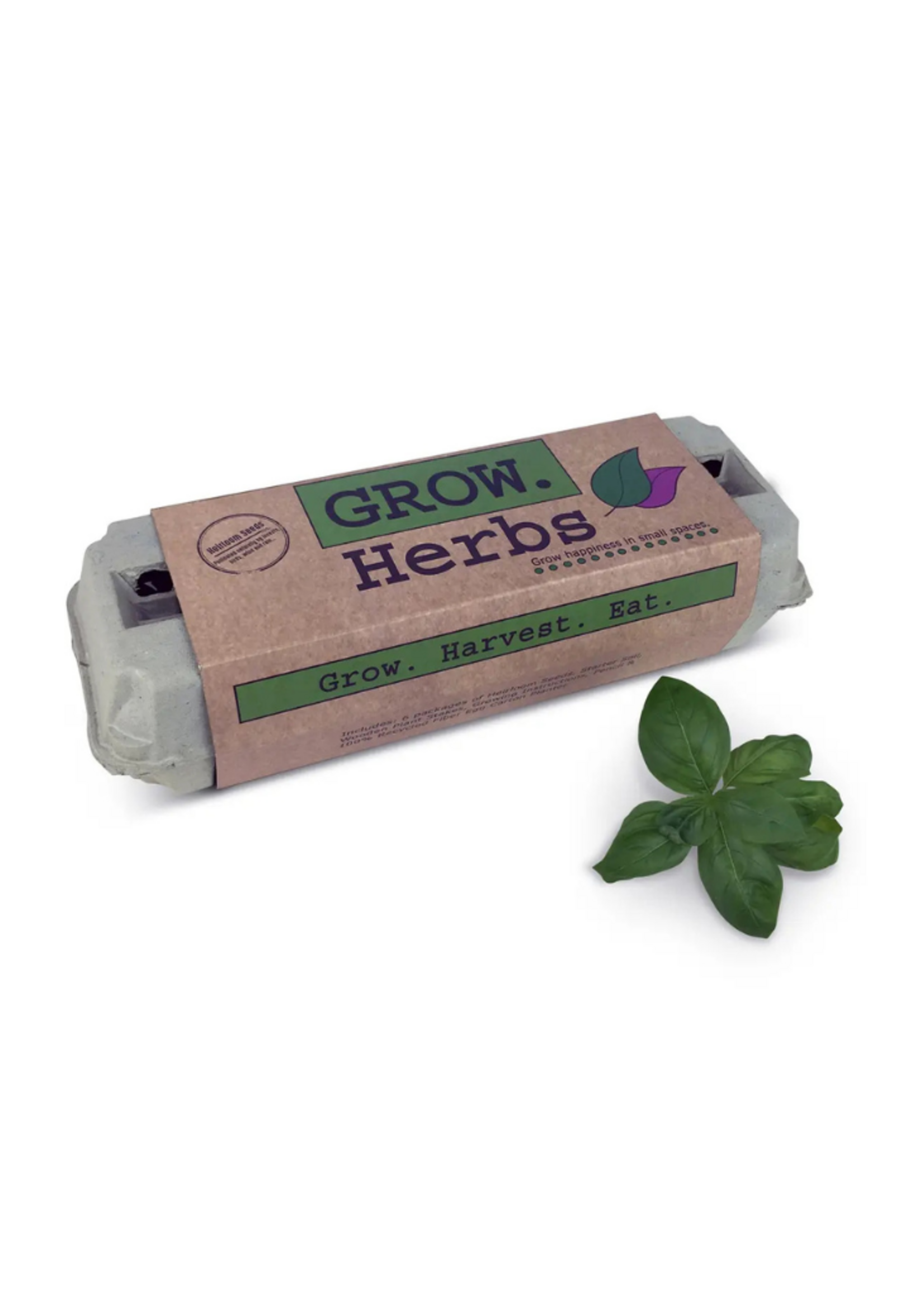 Backyard Safari Company Backyard Safari Company - Herb Garden Grow Kit