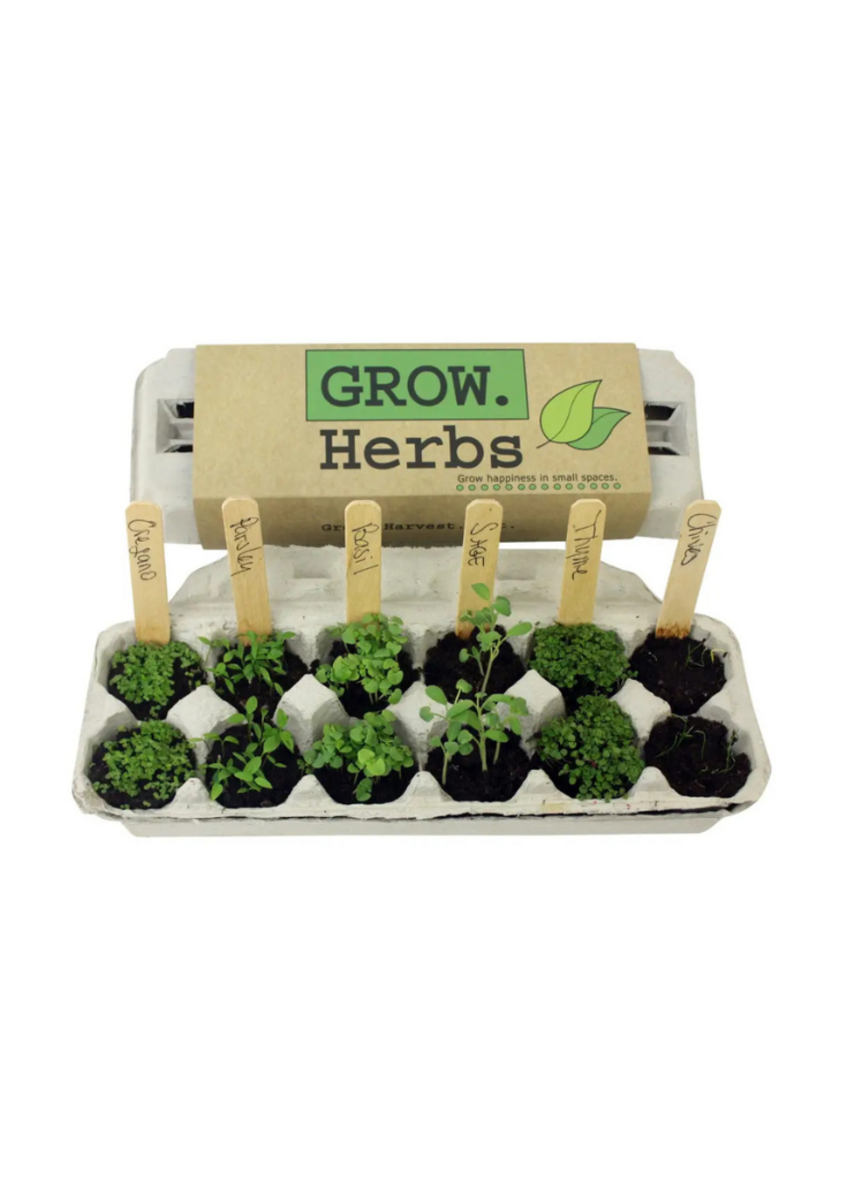 Backyard Safari Company Backyard Safari Company - Herb Garden Grow Kit