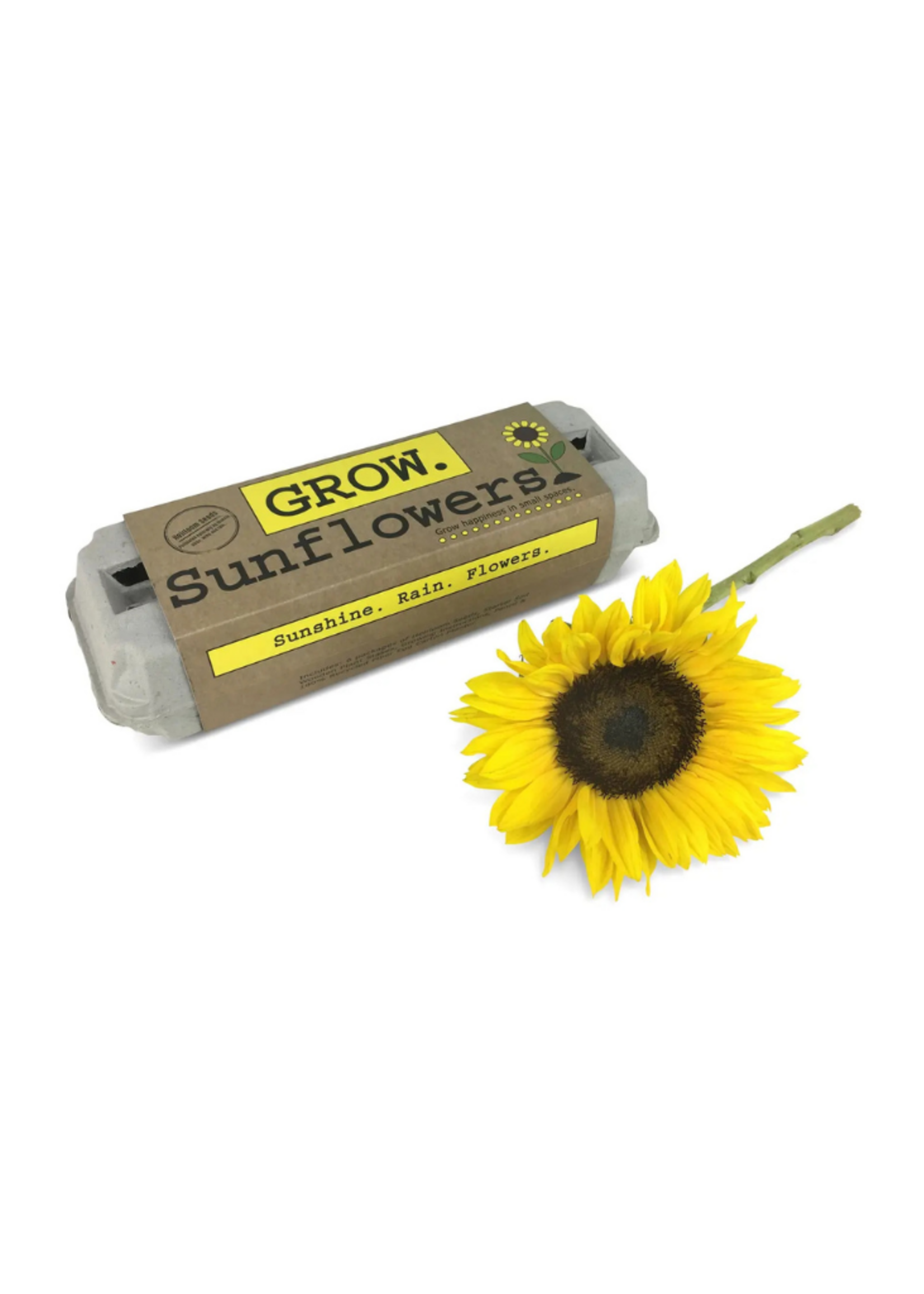 Backyard Safari Company Backyard Safari Company - Sunflower Garden Grow Kit