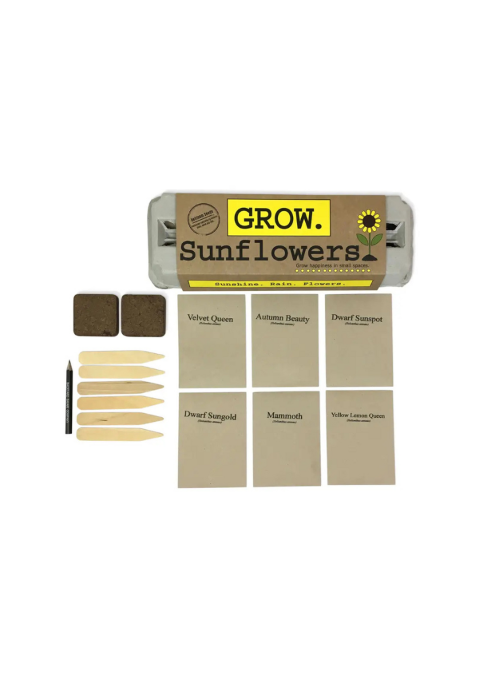 Backyard Safari Company Backyard Safari Company - Sunflower Garden Grow Kit