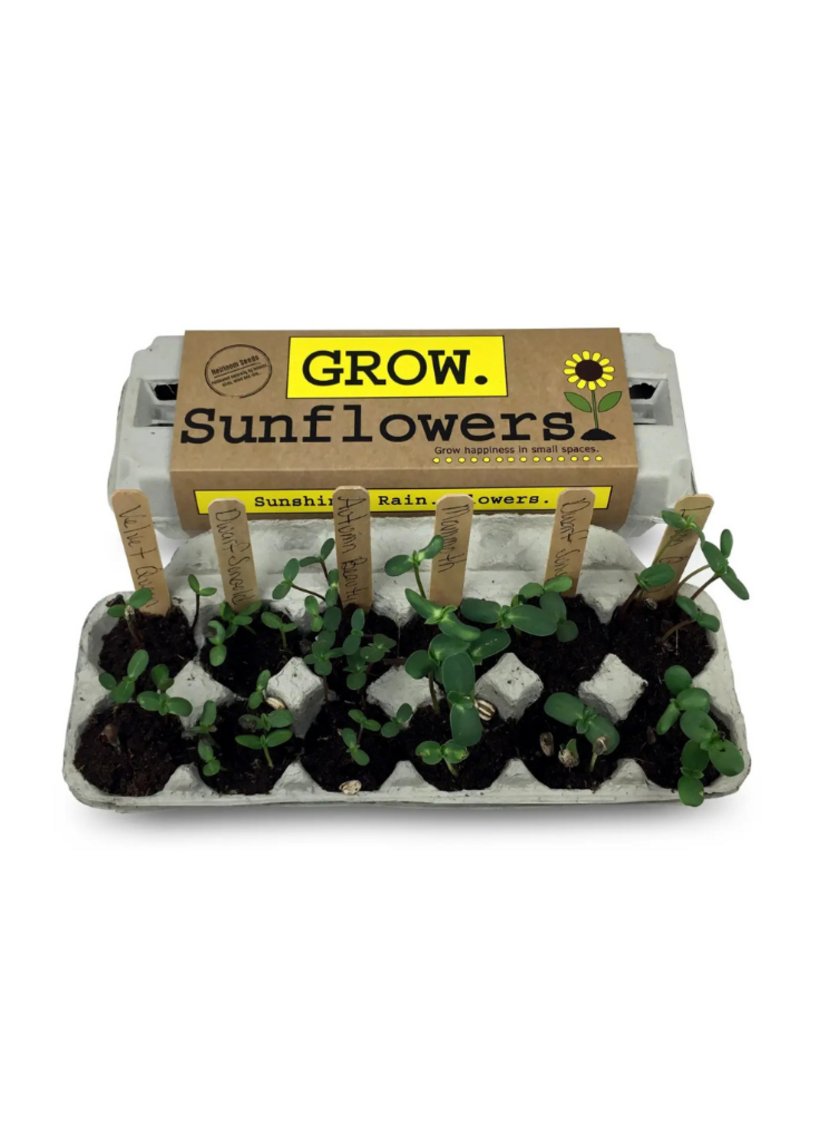 Backyard Safari Company Backyard Safari Company - Sunflower Garden Grow Kit