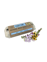 Backyard Safari Company Honey Bee Habitat Grow Kit