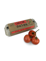 Backyard Safari Company Salsa Garden Grow Kit