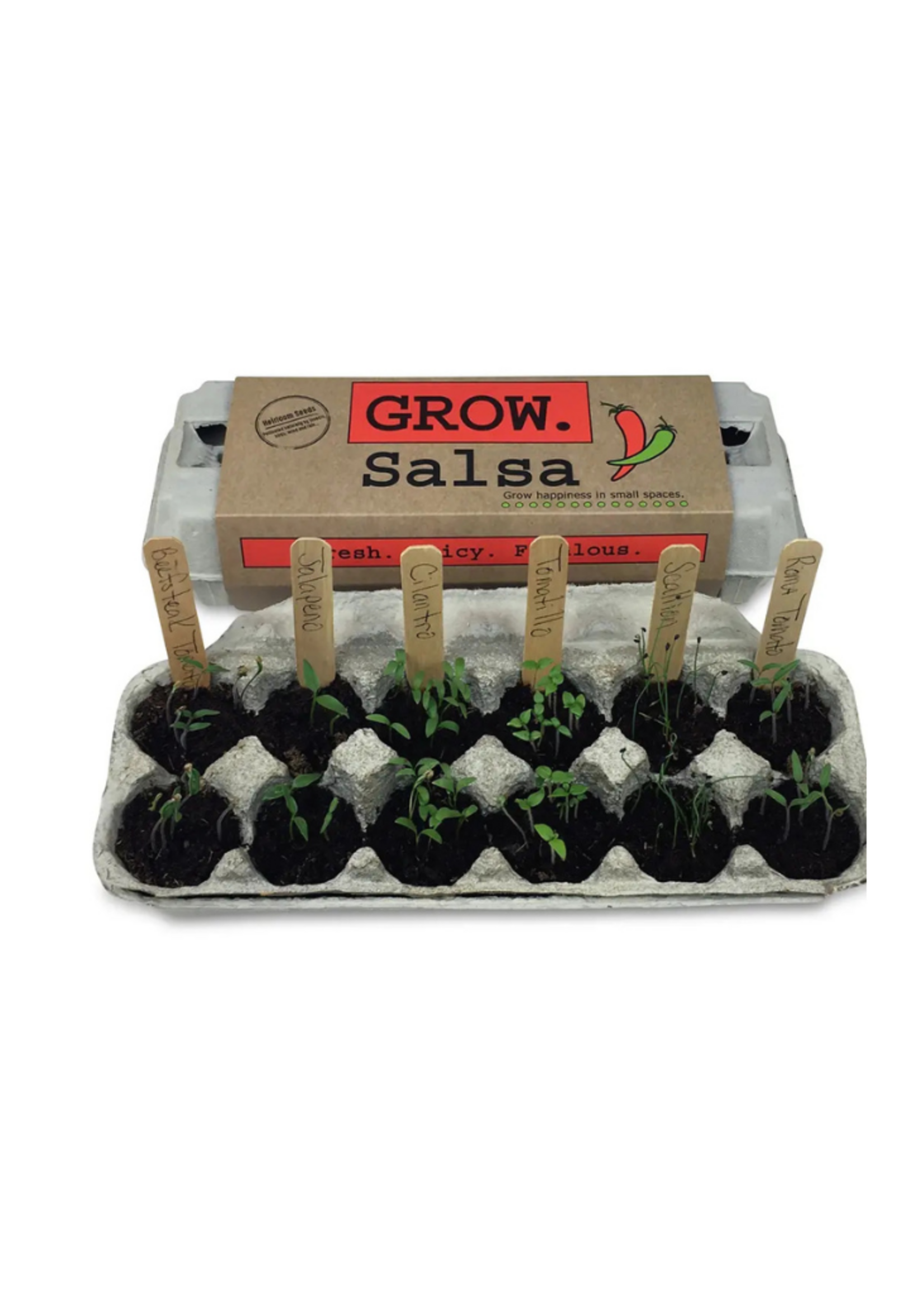Backyard Safari Company Backyard Safari Company - Salsa Garden Grow Kit