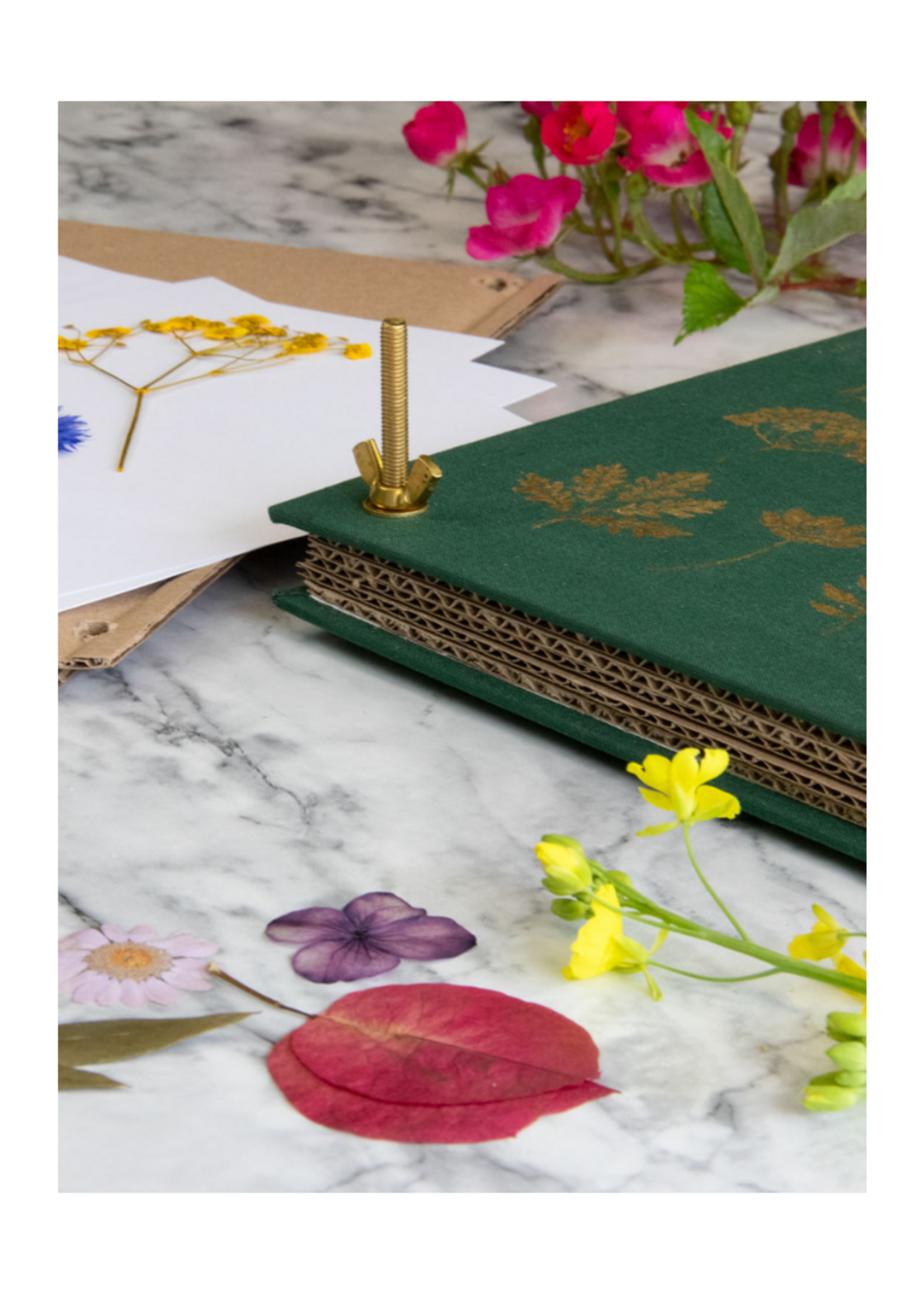 Botanopia USA Botanopia USA - The Botanical Flower Press