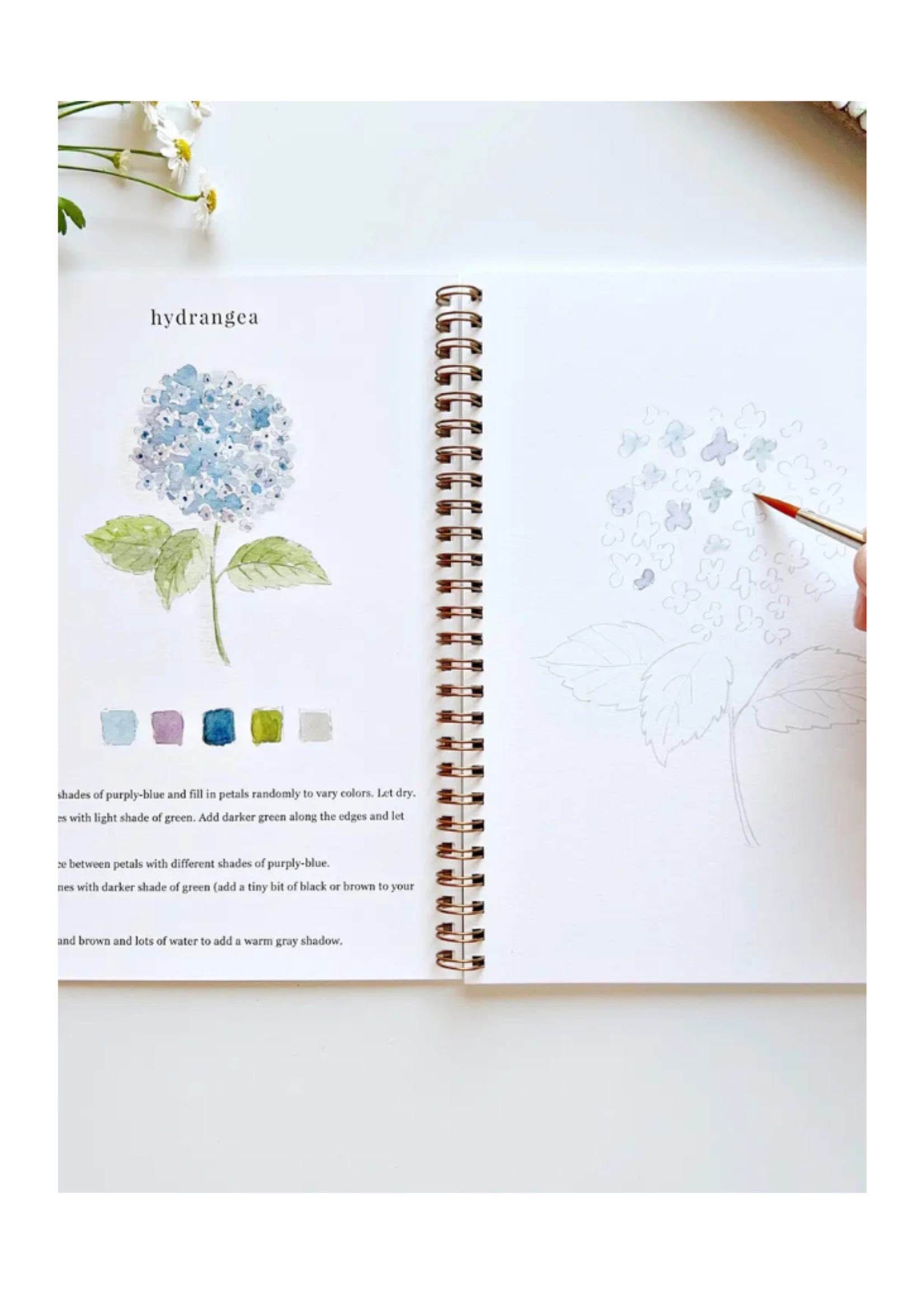 Emily Rex Studio Emily Rex Studio -  Flowers  Watercolor Workbook