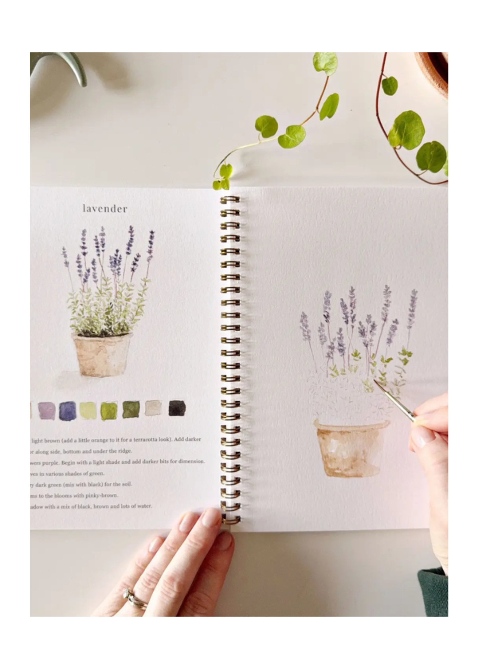 Emily Lex Studio Emily Lex Studio -  Garden Watercolor Workbook