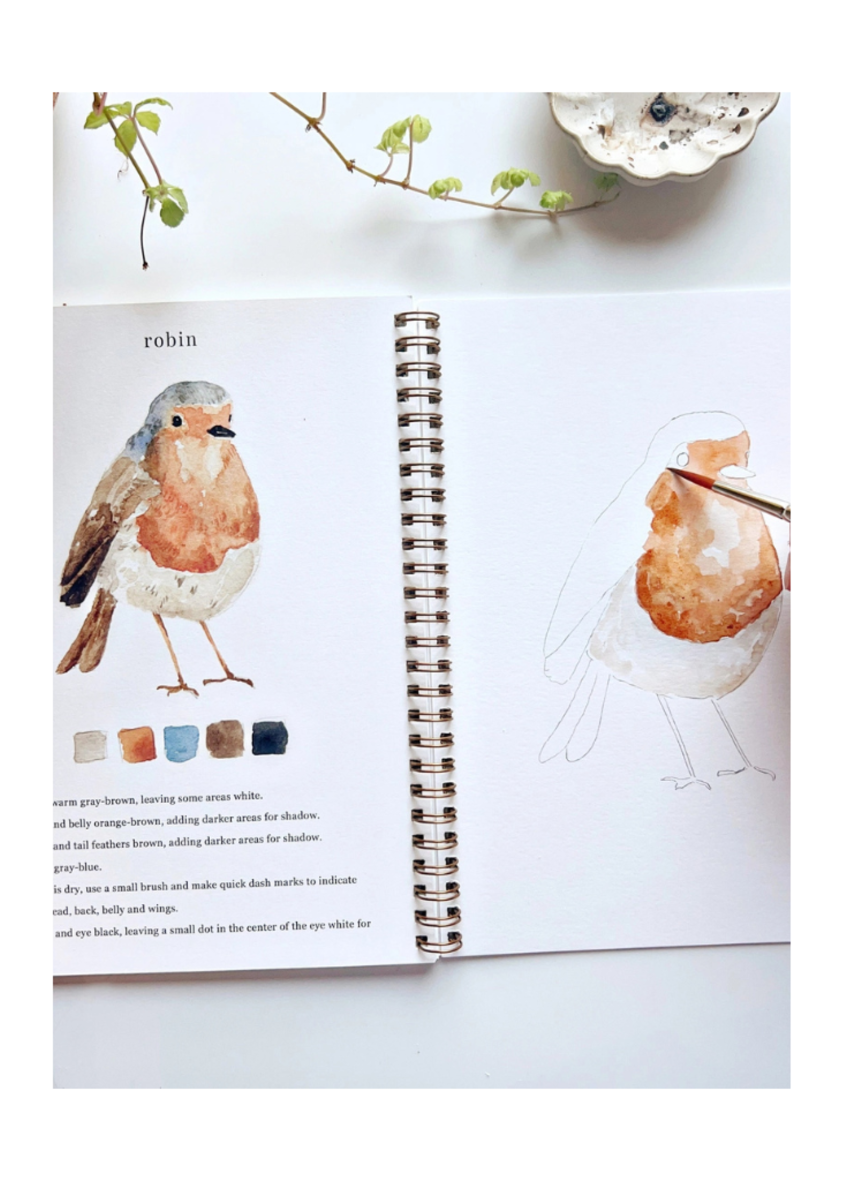 Emily Rex Studio Emily Rex Studio -  Birds Watercolor Workbook