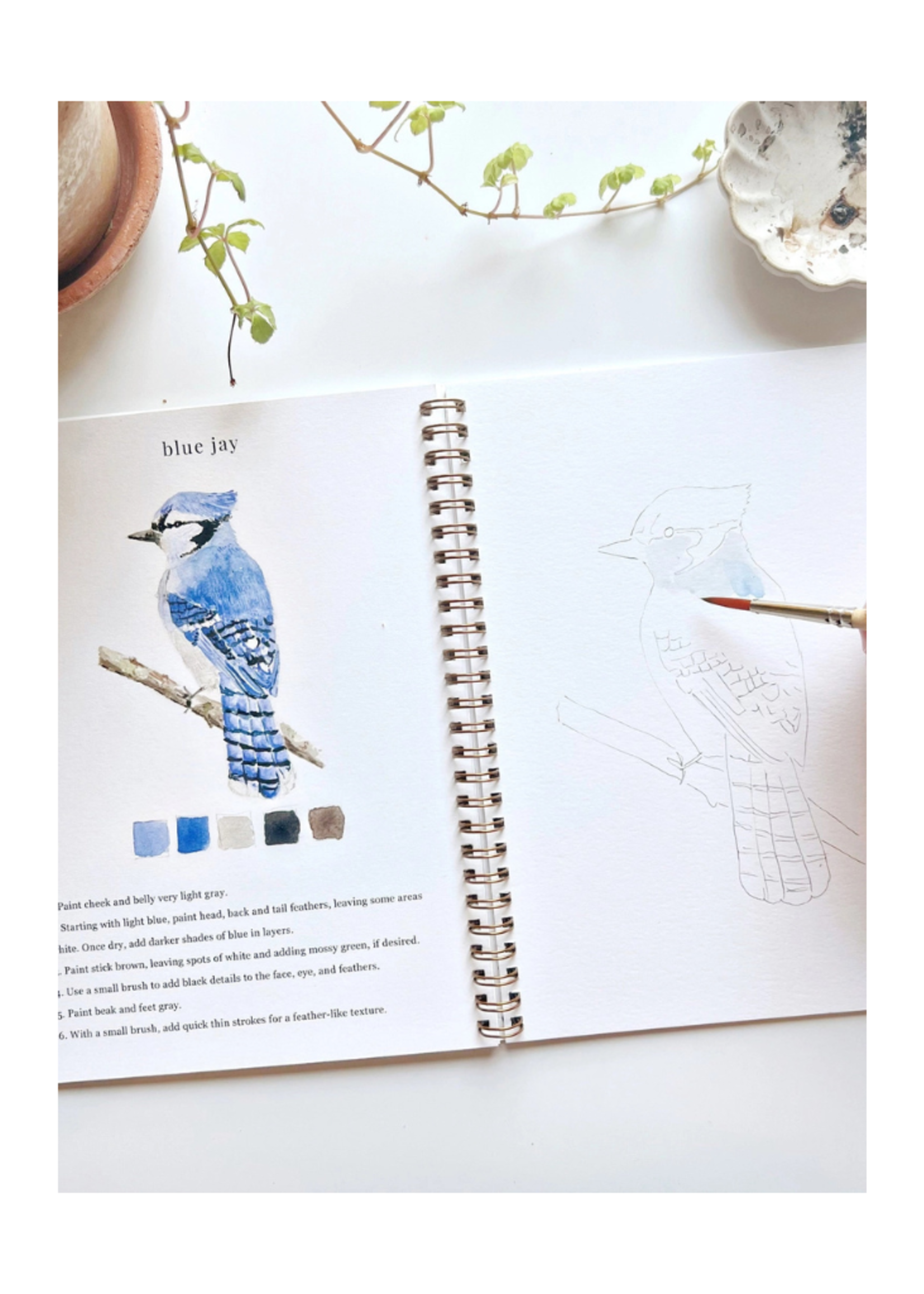 Emily Rex Studio Emily Rex Studio -  Birds Watercolor Workbook