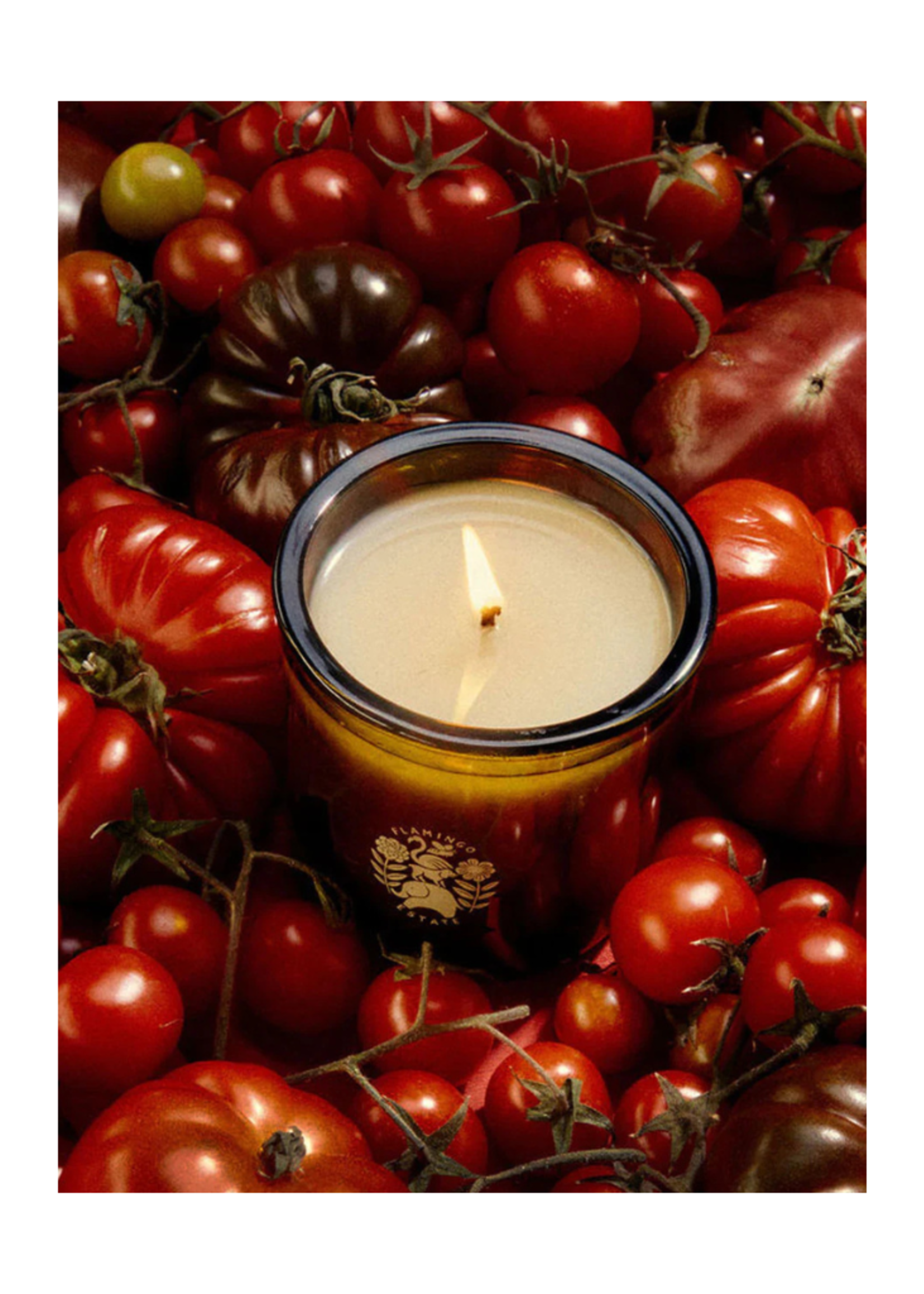 Flamingo Estate Flamingo Estate - Candle l Roma Heirloom Tomato