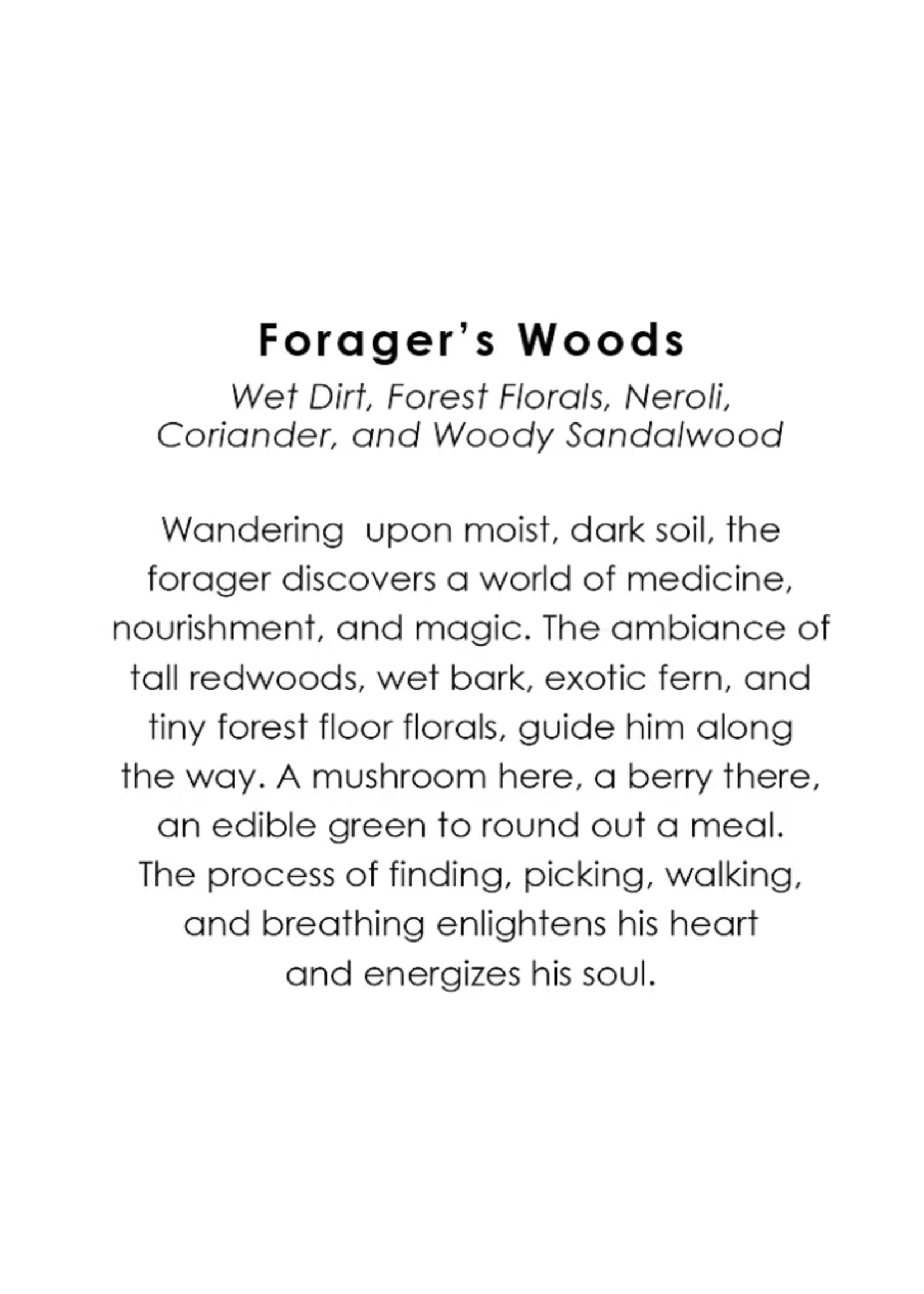 Austin Press Austin Press Forager's Wood Candle