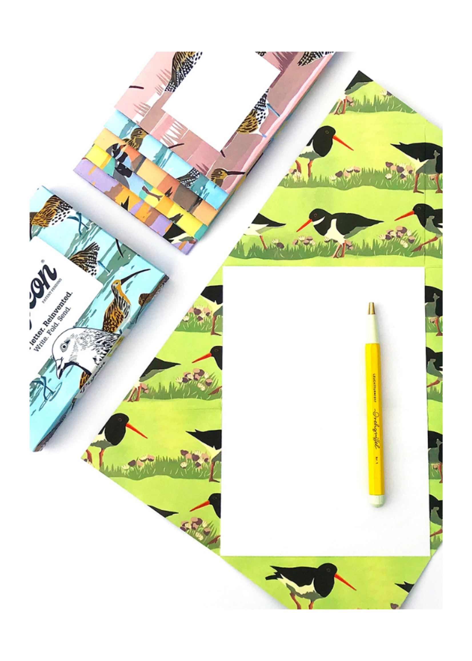 Pigeon Pigeon - Hebridean Pigeon Letter & Envelope in One