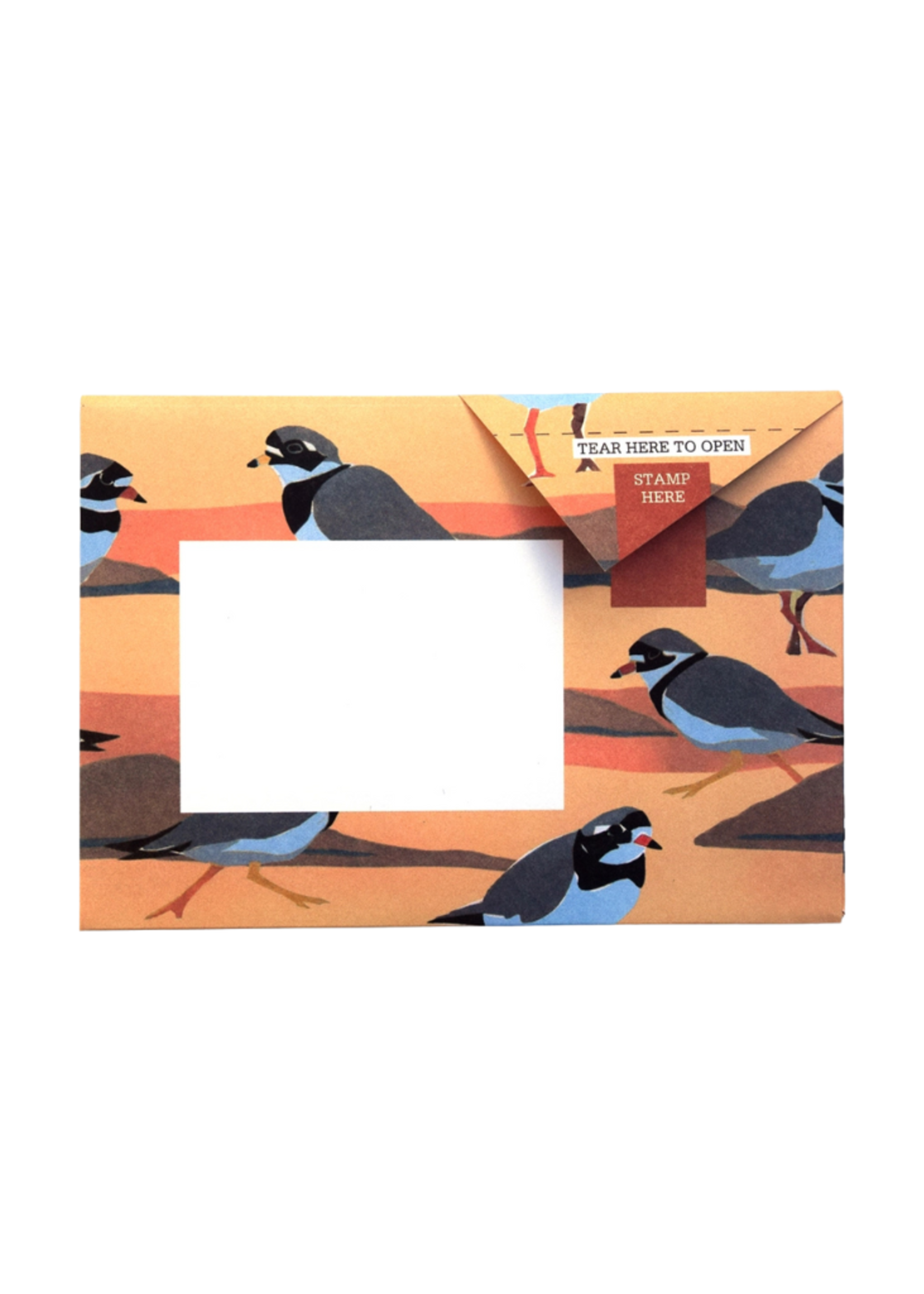 Pigeon Pigeon - Hebridean Pigeon Letter & Envelope in One