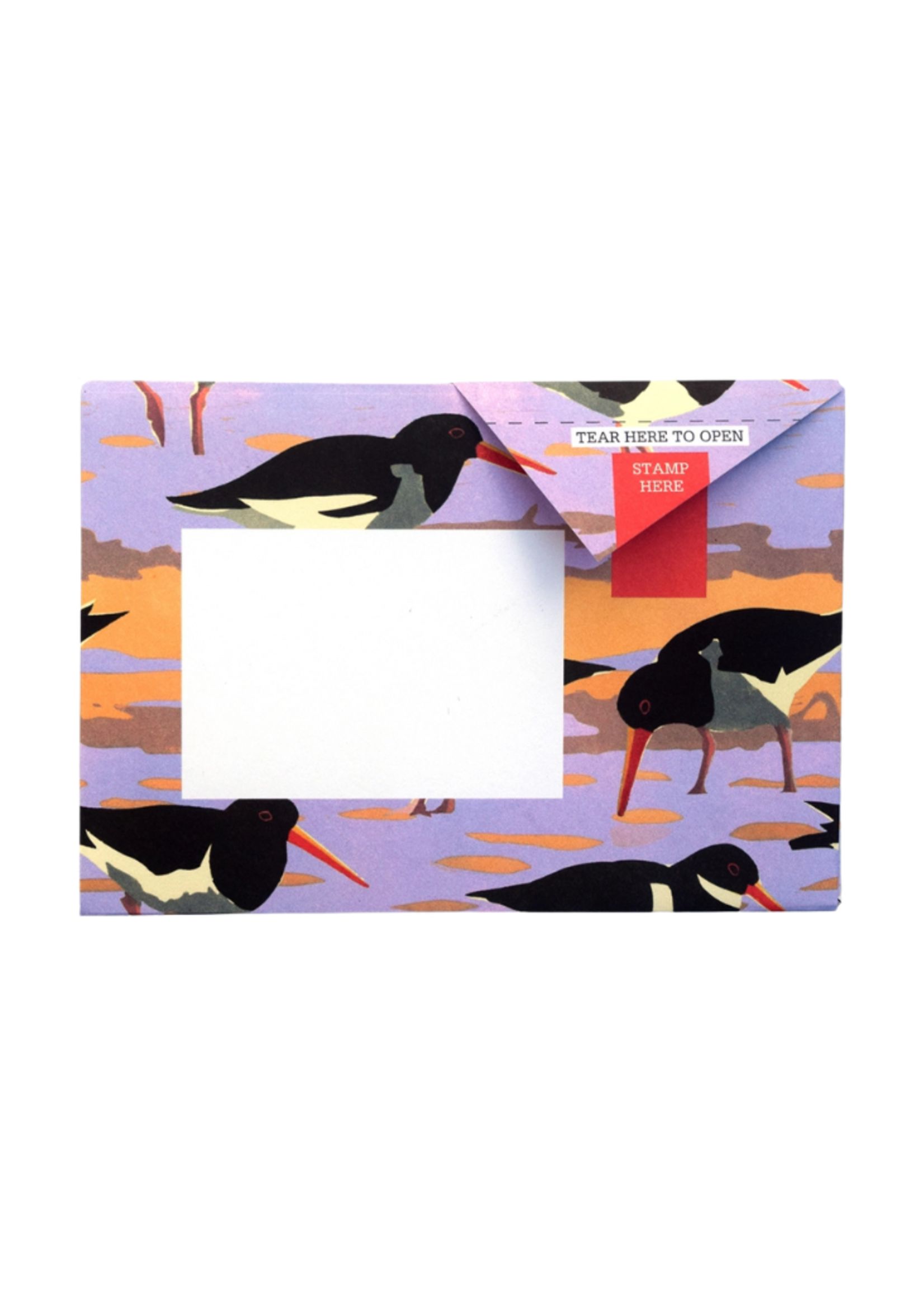Pigeon Pigeon - Hebridean Pigeon Letter & Envelope in One