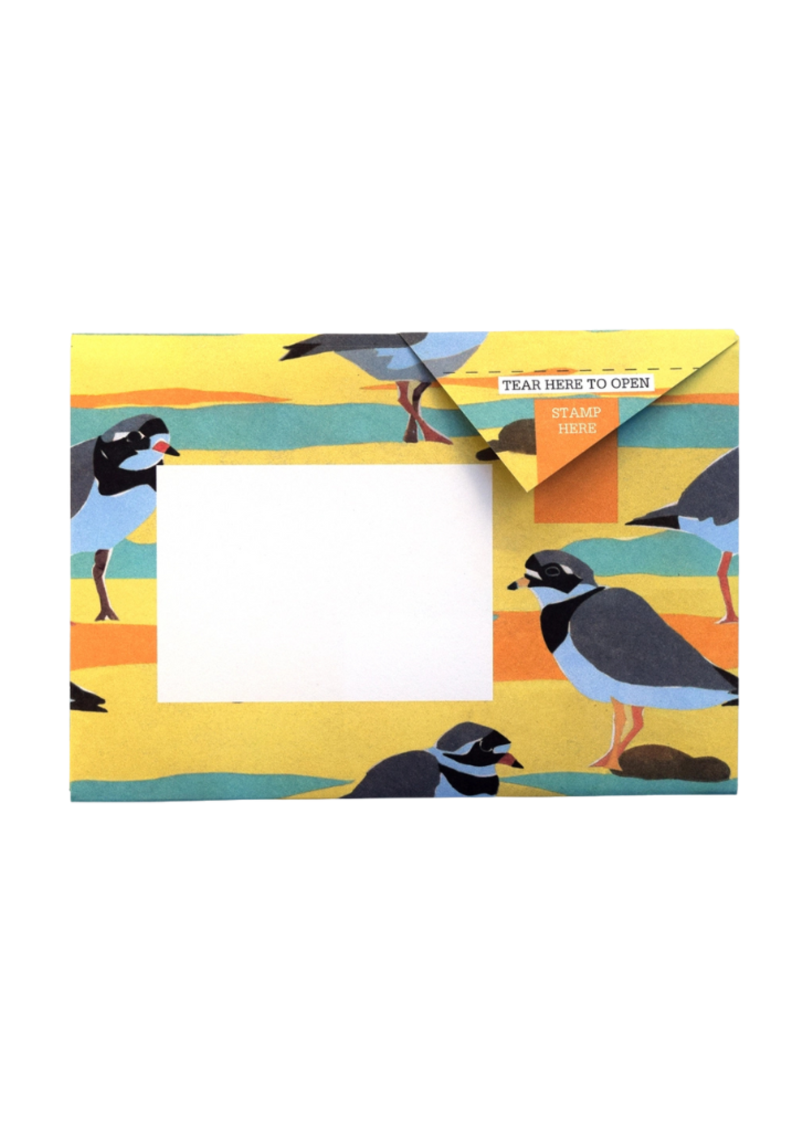 Pigeon Pigeon - Hebridean Pigeon Letter & Envelope in One