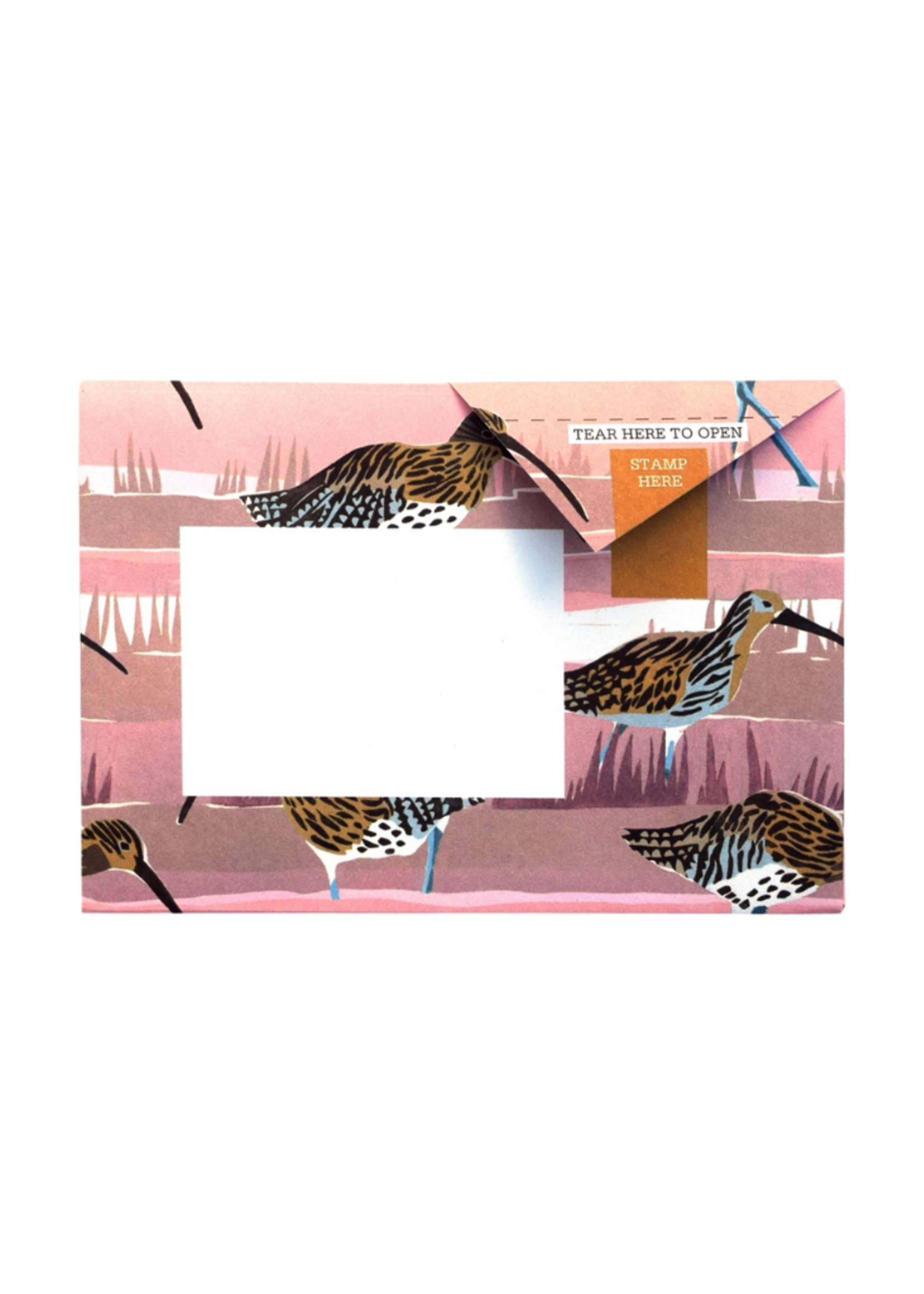 Pigeon Pigeon - Hebridean Pigeon Letter & Envelope in One