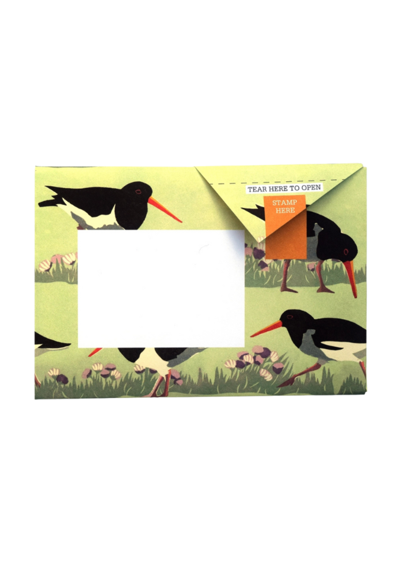 Pigeon Pigeon - Hebridean Pigeon Letter & Envelope in One