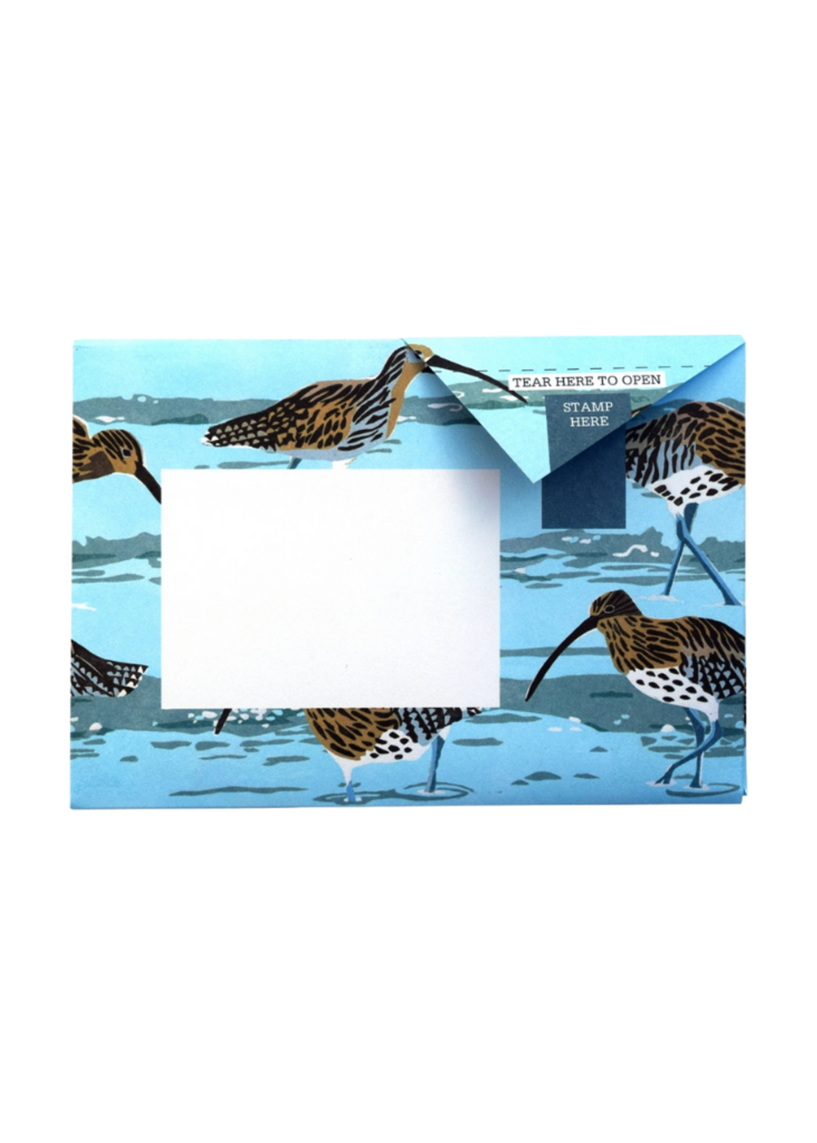 Pigeon Pigeon - Hebridean Pigeon Letter & Envelope in One