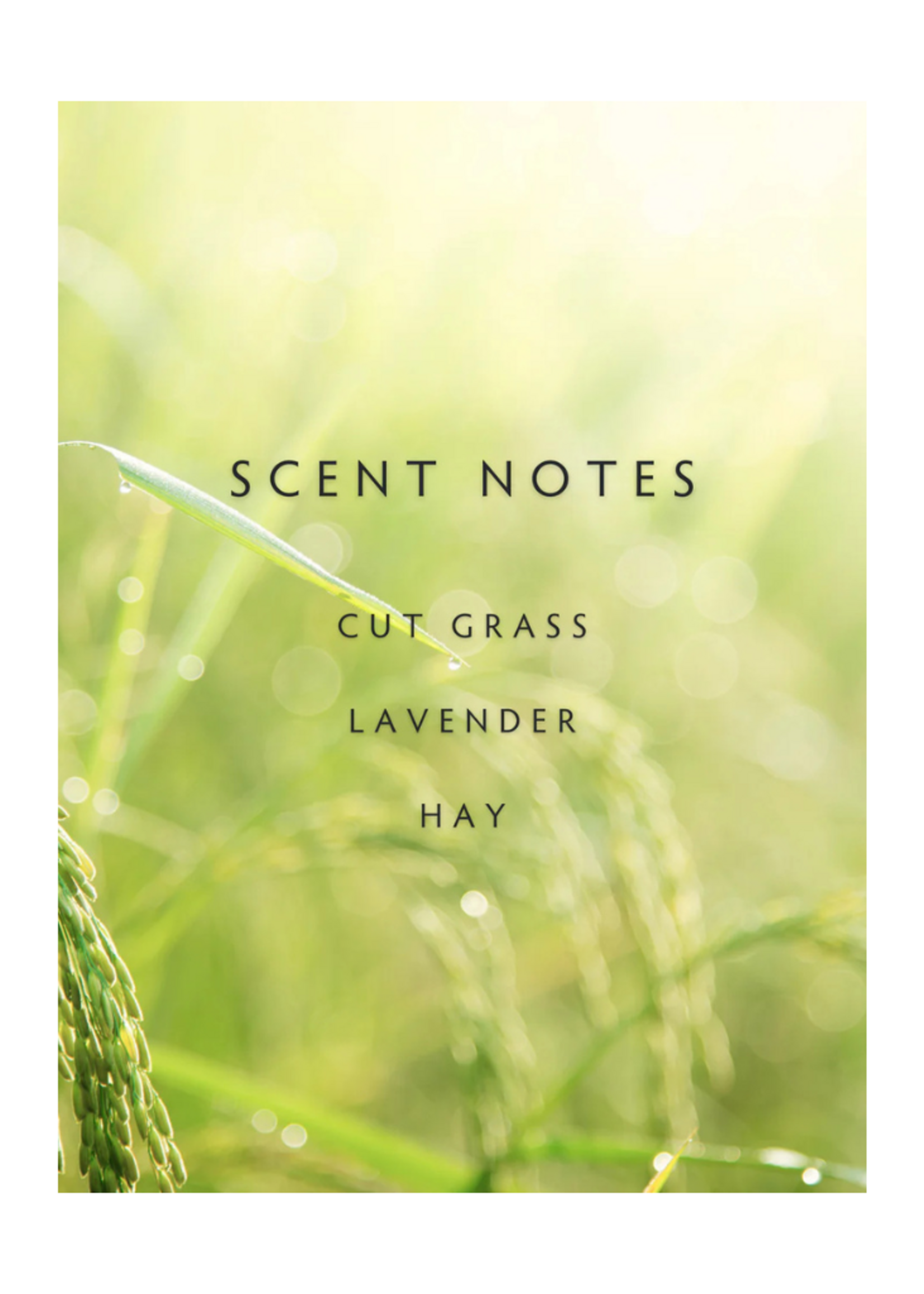 Linnea Linnea - Spring l Fields Two Wick Candle