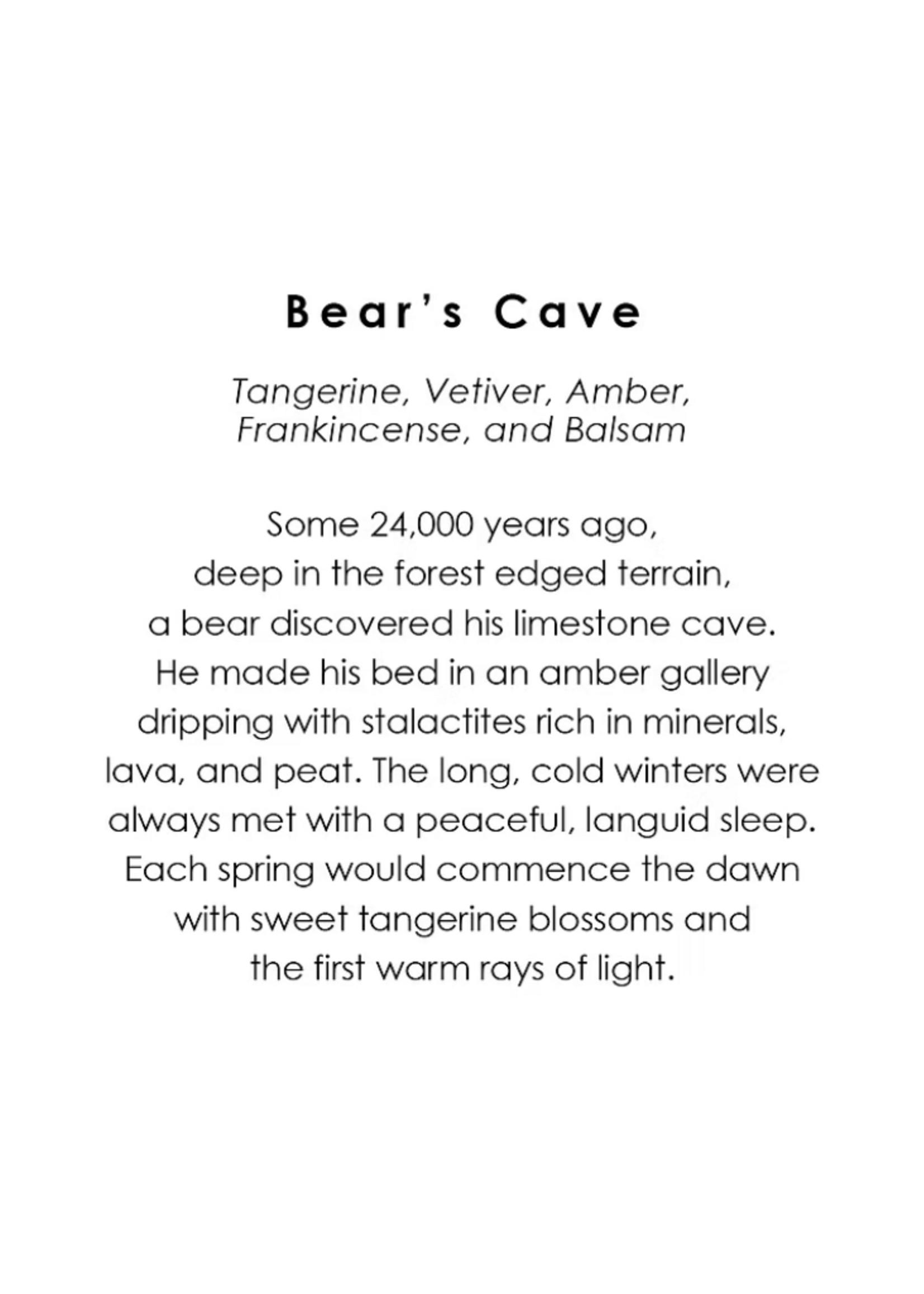 Austin Press Austin Press Bear's Cave Candle