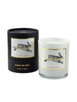 Austin Press Rabbit's Hole Candle