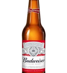 Budweiser 12oz Bottle