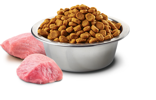 farmina lamb blueberry