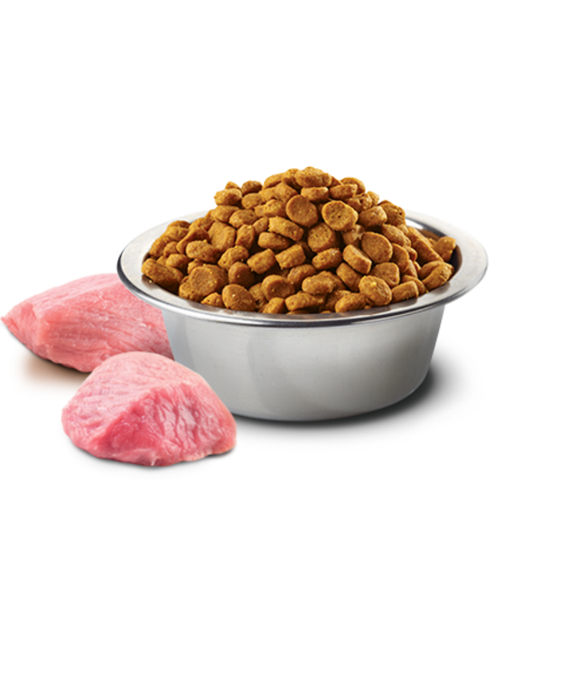 Farmina Farmina PUMPKIN Grain Free Boar & Apple Mini Adult