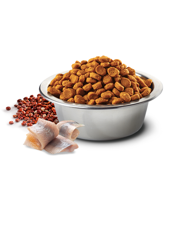 Farmina N&D QUINOA Grain Free Skin & Coat Herring The PawStand®
