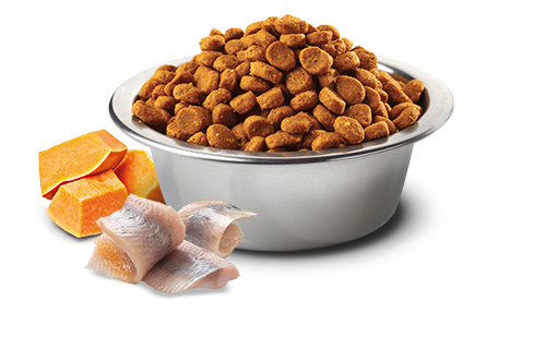 farmina pumpkin codfish